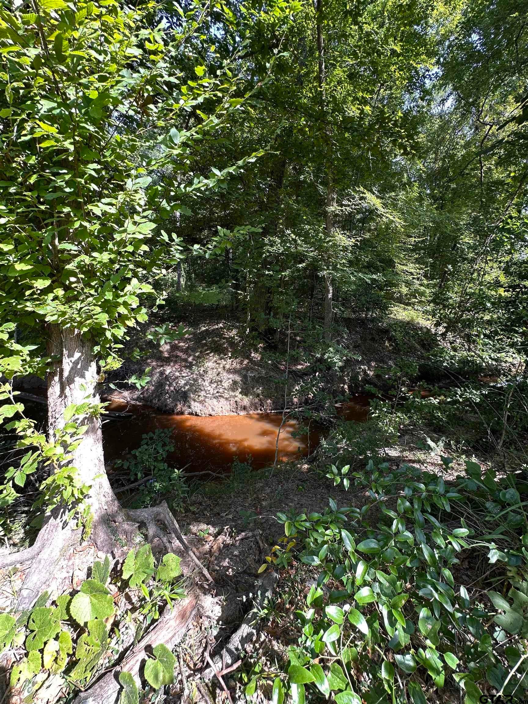 TBD Hwy 259