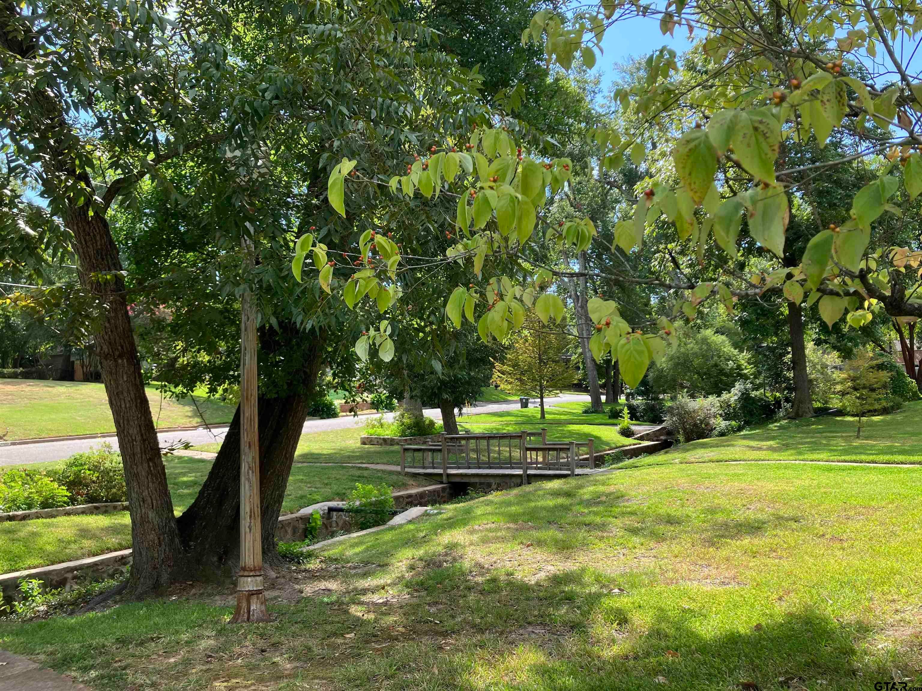 1319 Belmont Dr.