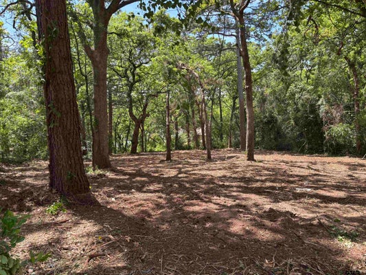 514 DOGWOOD LN, HIDEAWAY, TX 75771 - Image 2ca4ac97dfd23dd6a022fe0650e93be4/2307152456
