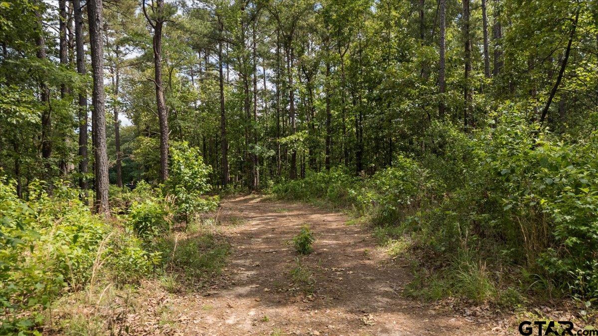 630 County Road 3953
