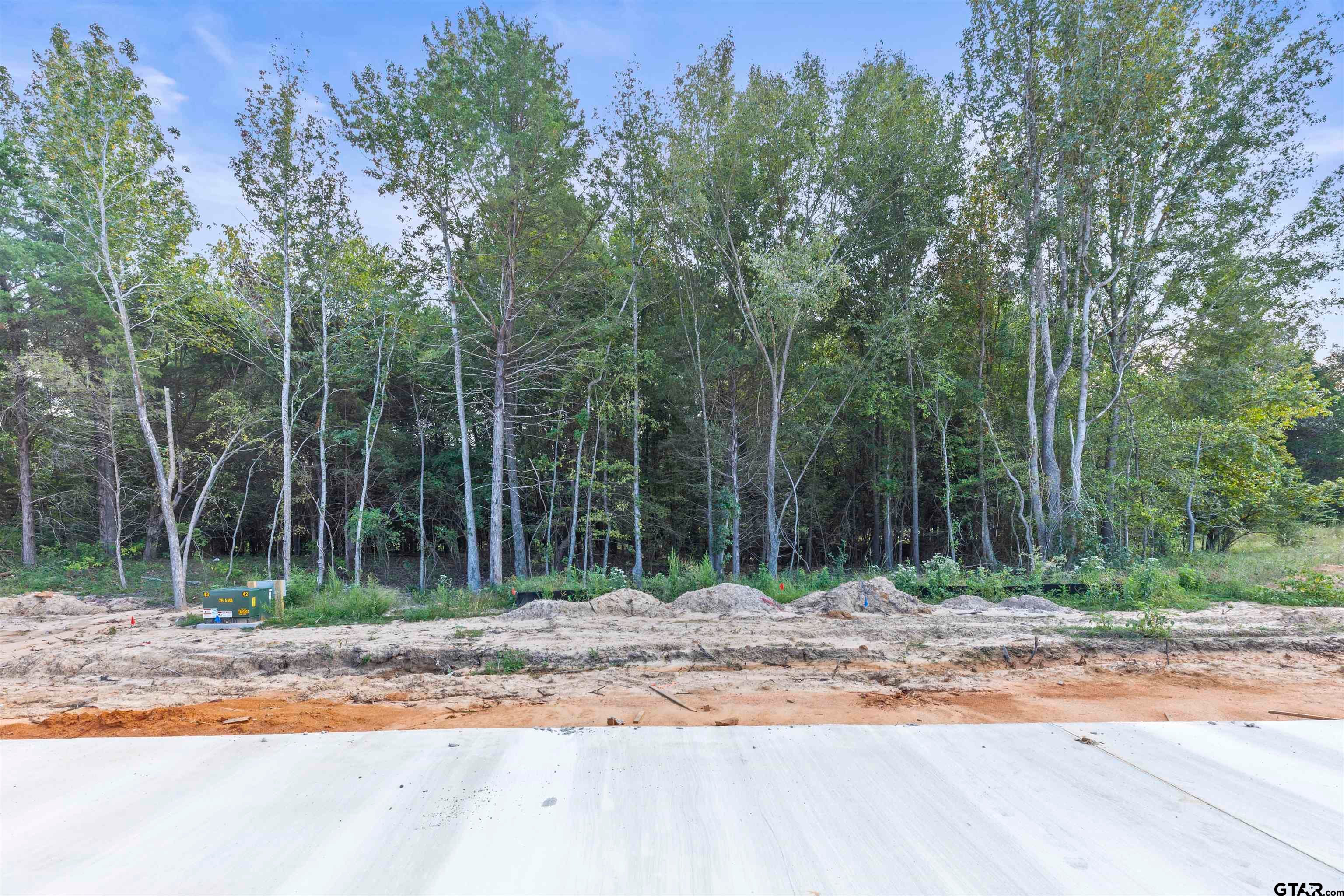13926 Cedar Hill Ln (Lindale ISD)