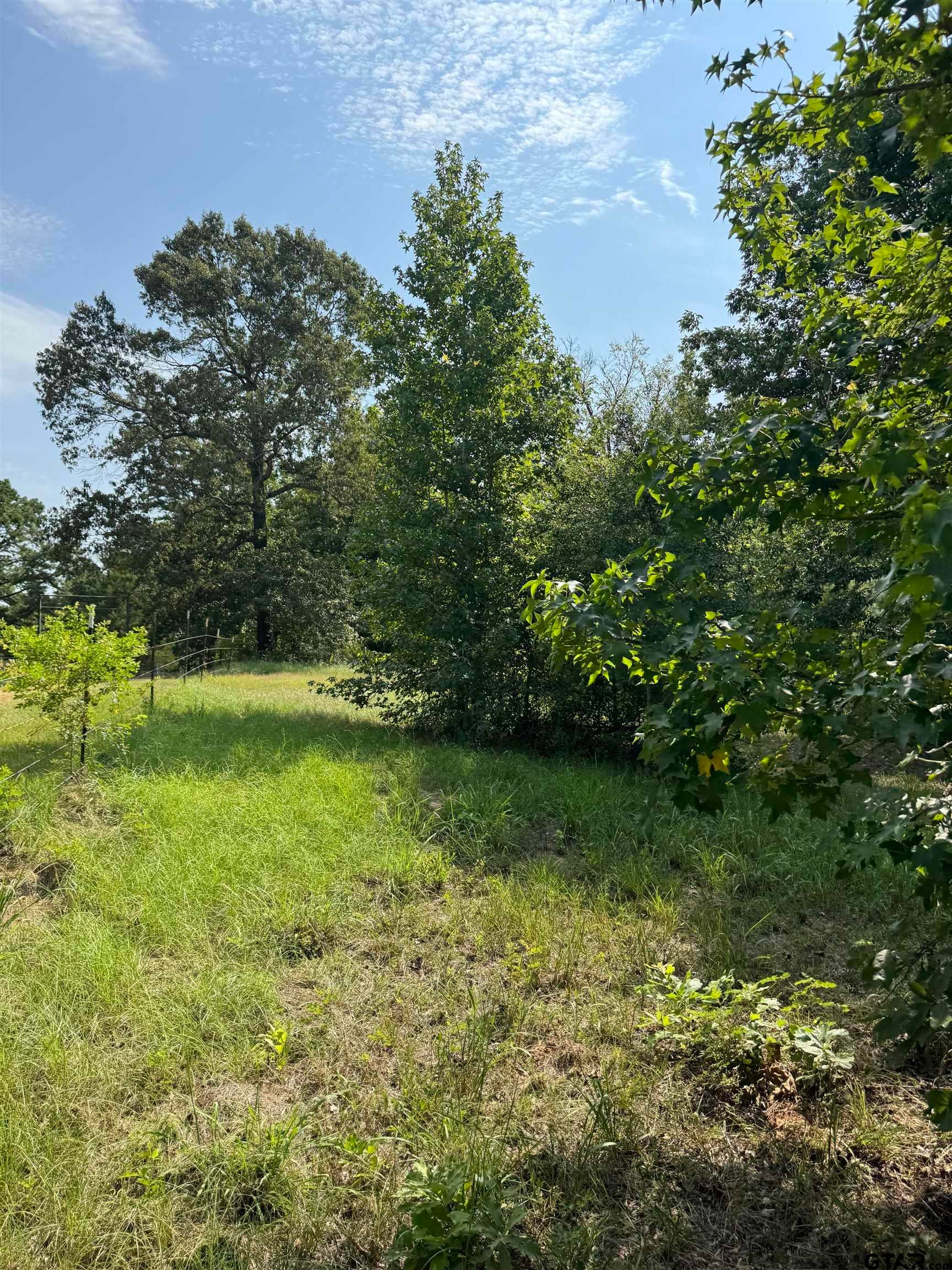 1301 An County Road 3552