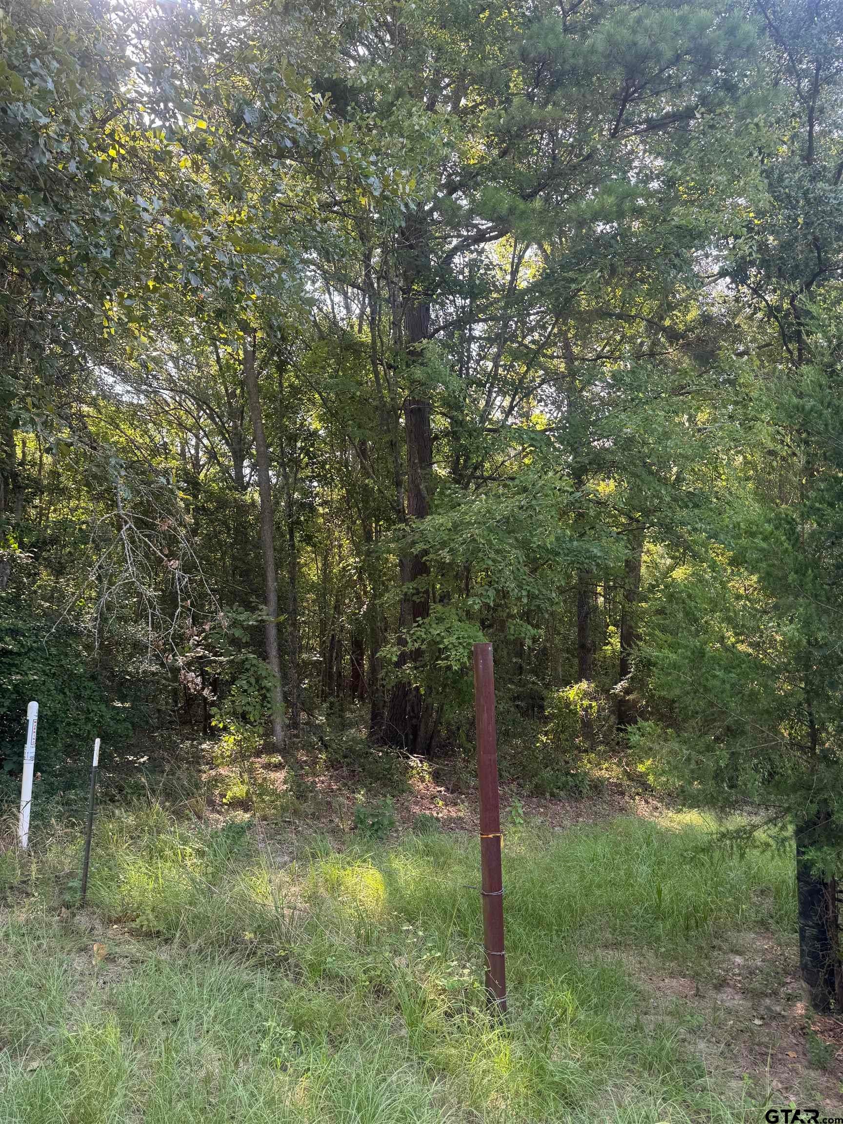 1301 An County Road 3552