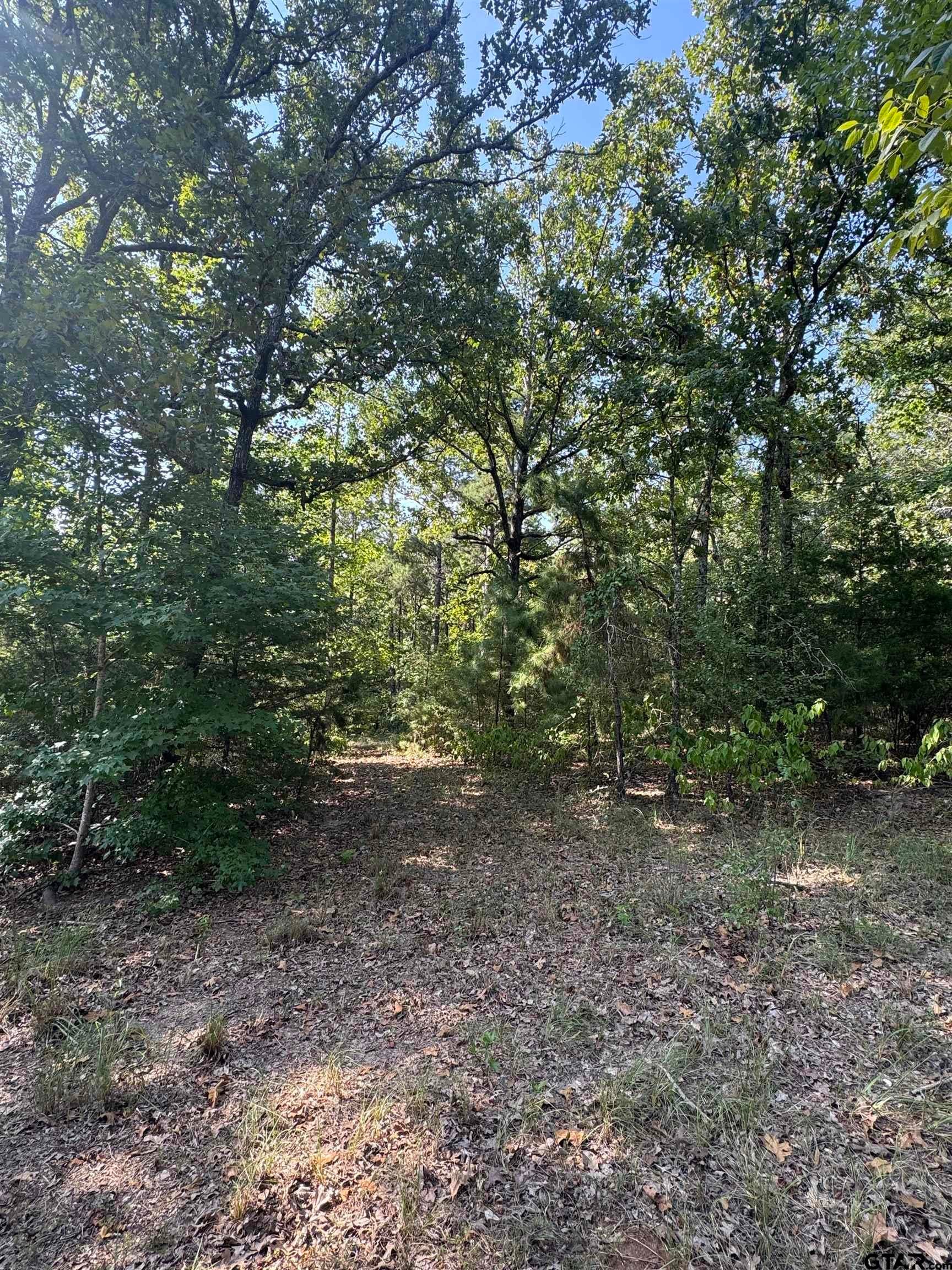 1301 An County Road 3552