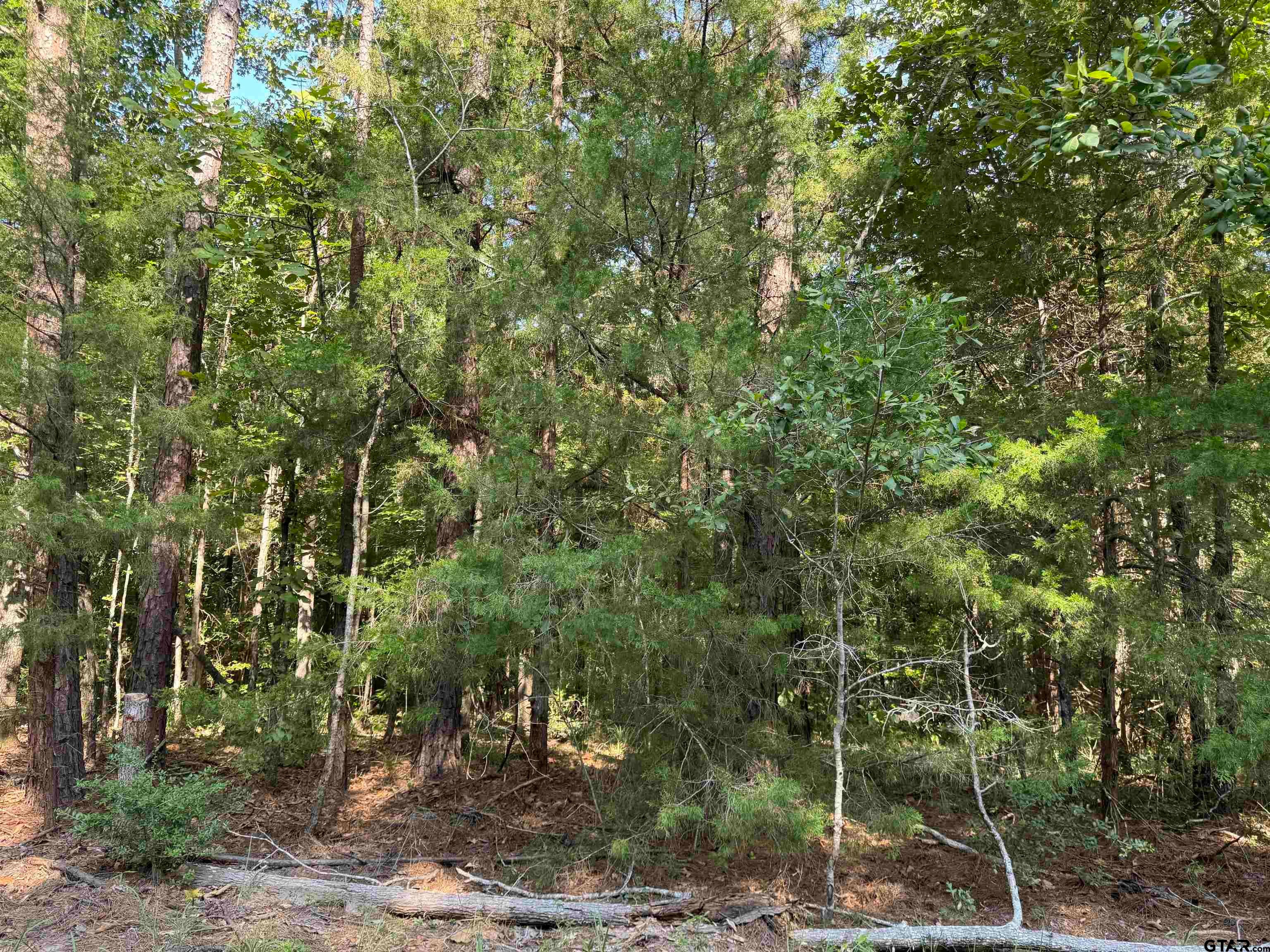 1301 An County Road 3552