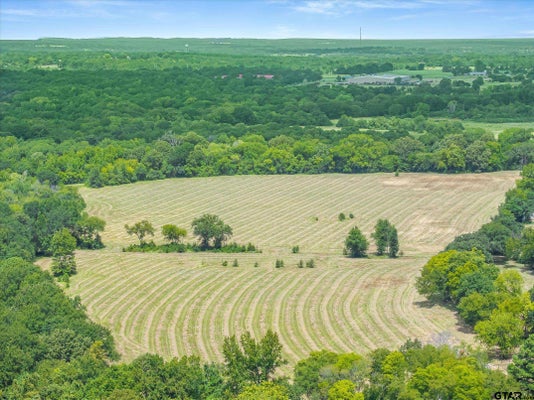 WOOD ST, ATHENS, TX 75751 - Image 2fe52cbba2b29786ebb05fb197cd38bd/100262685