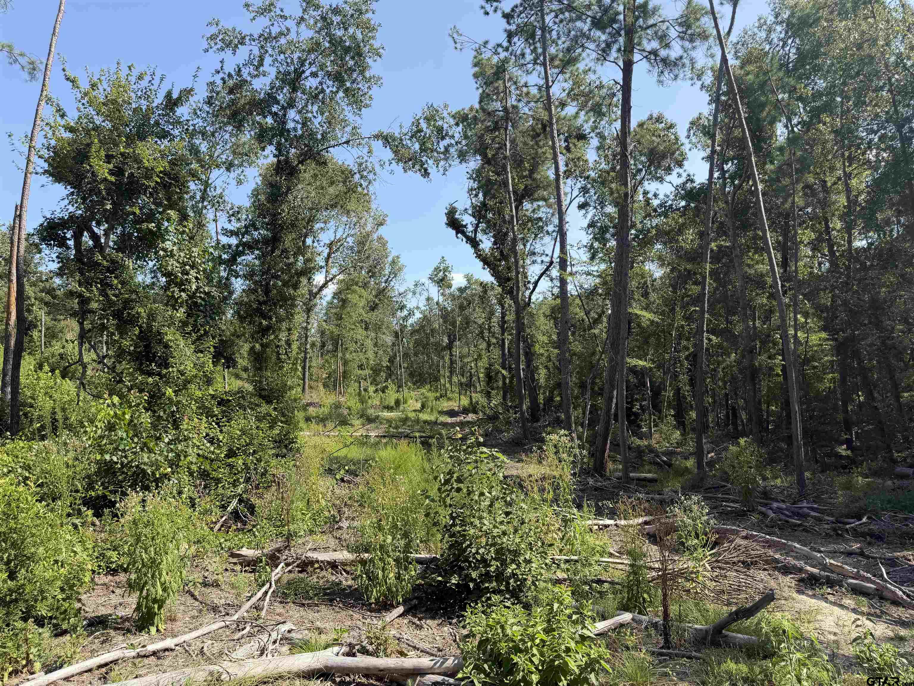 000 CR 4218 15 Acre