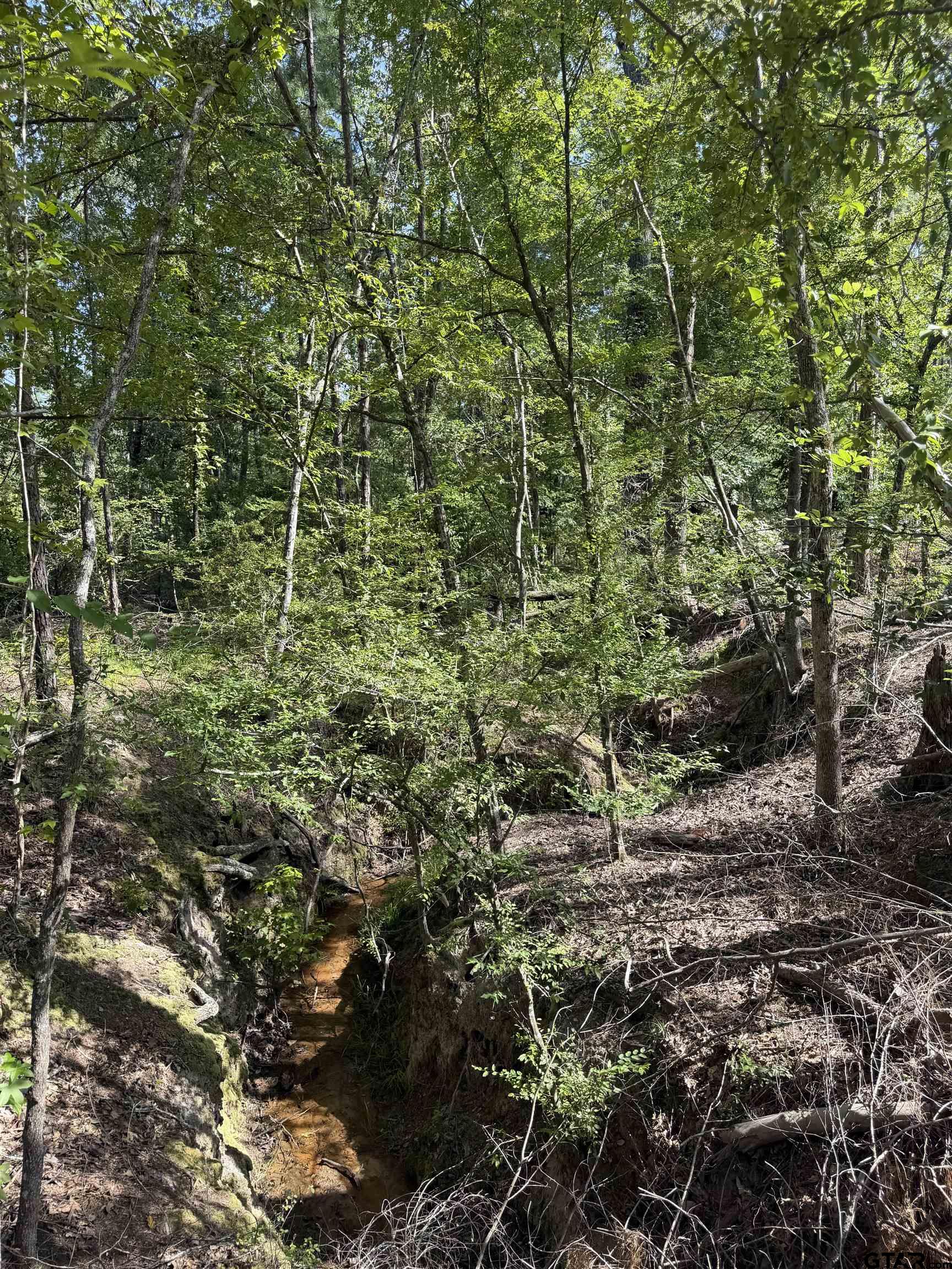 000 CR 4218 15 Acre