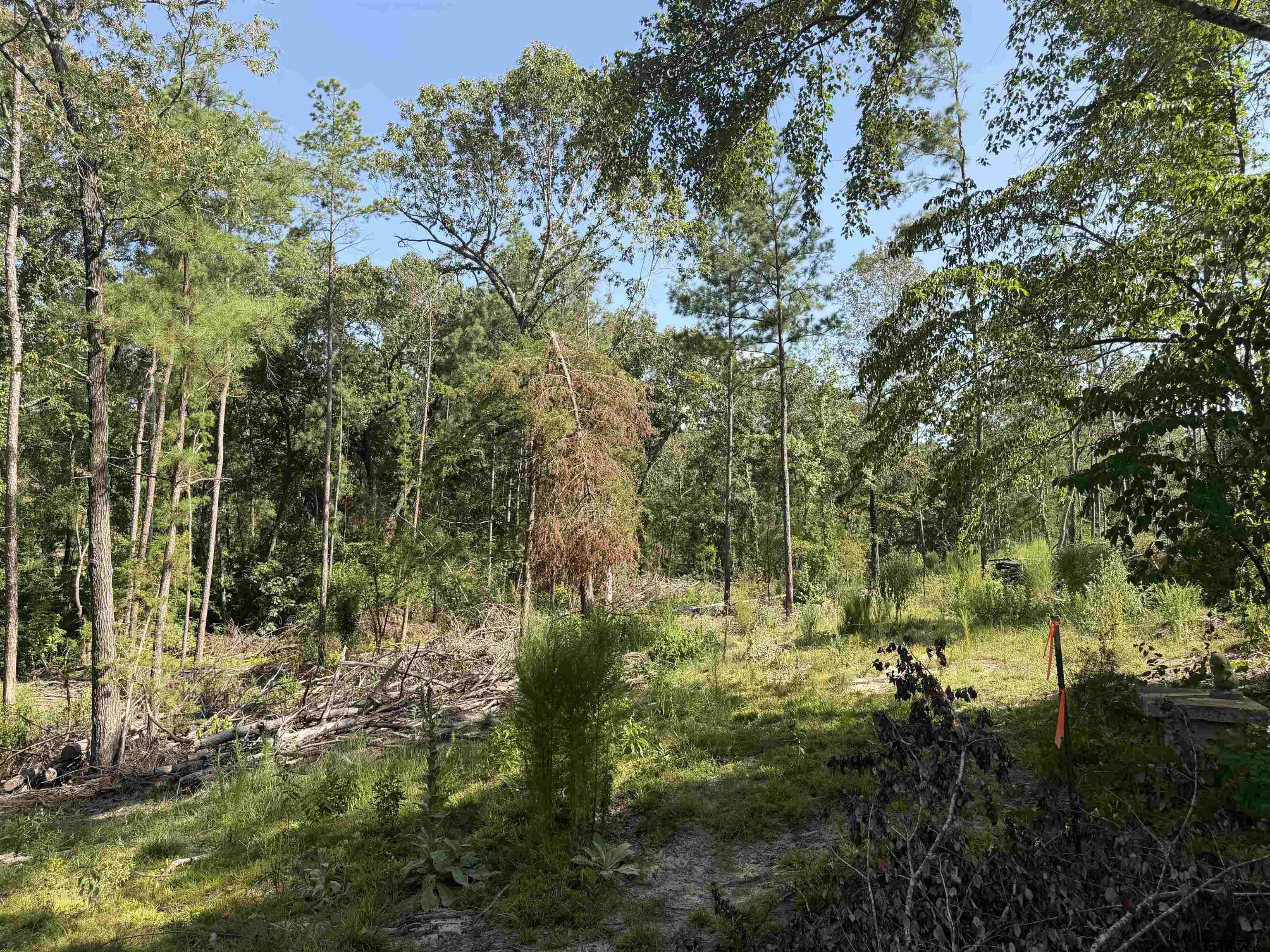 000 CR 4218 15 Acre