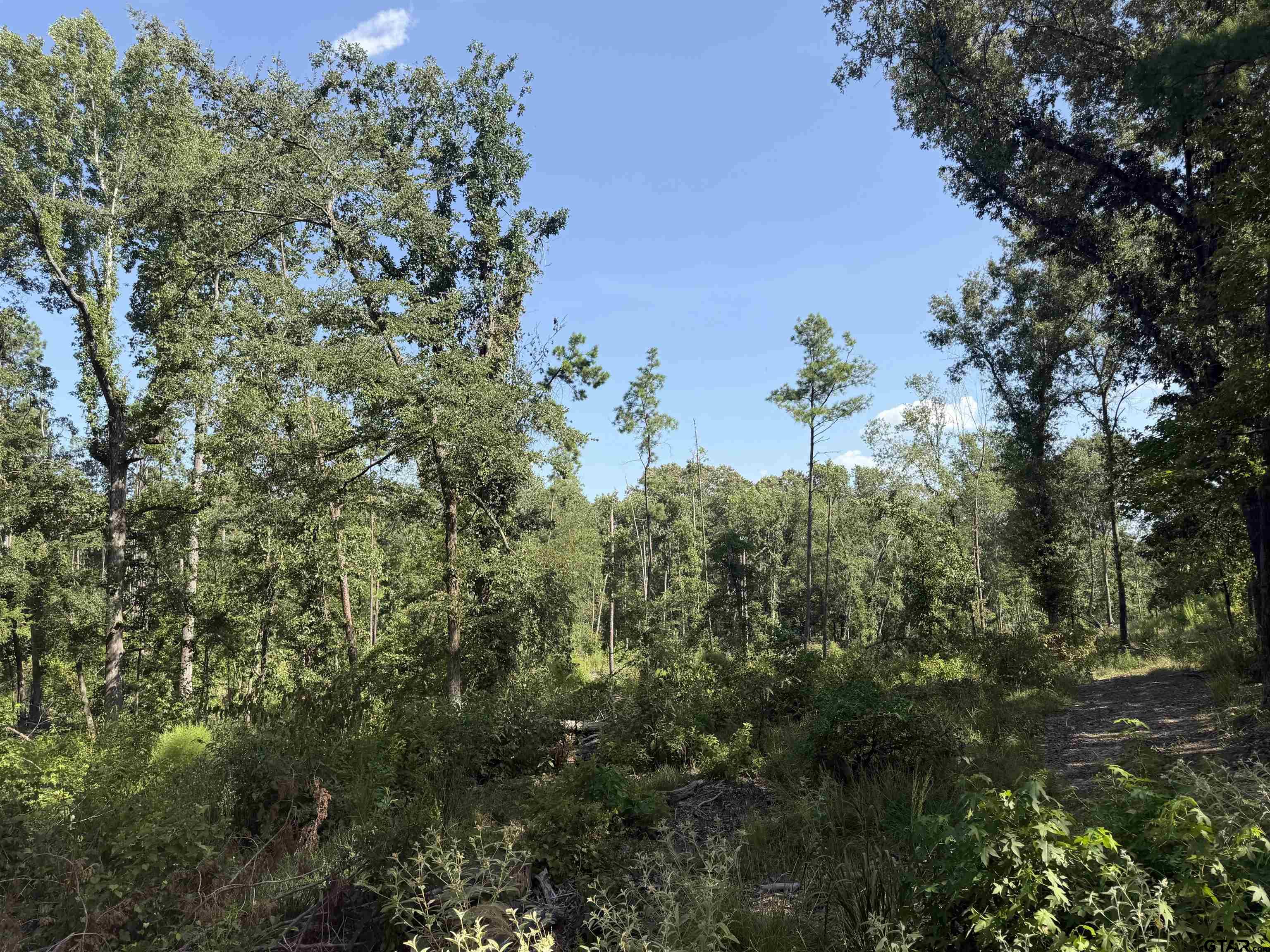 000 CR 4218 15 Acre
