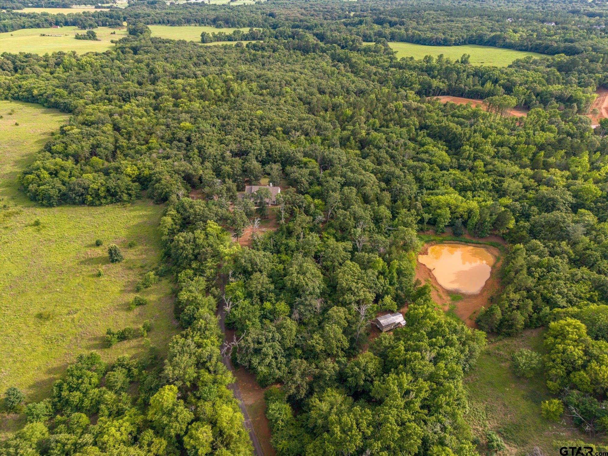 16384 County Road 440