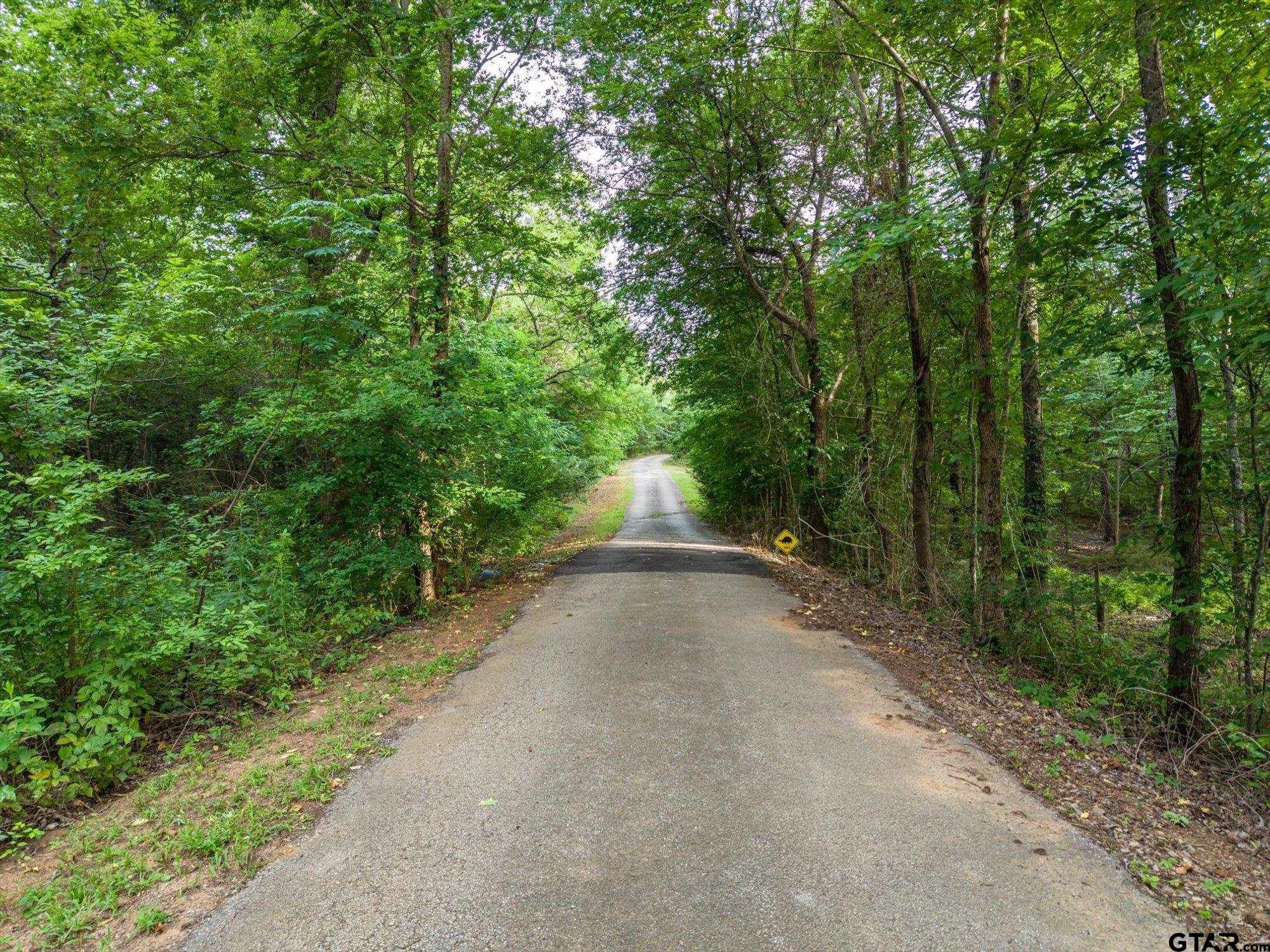 16384 County Road 440