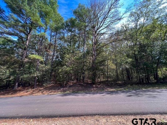 49 ANGELINA CT, MOUNT VERNON, TX 75457 - Image 32fe7e8ad4f048a14c2e68d2a39769e2/822641172
