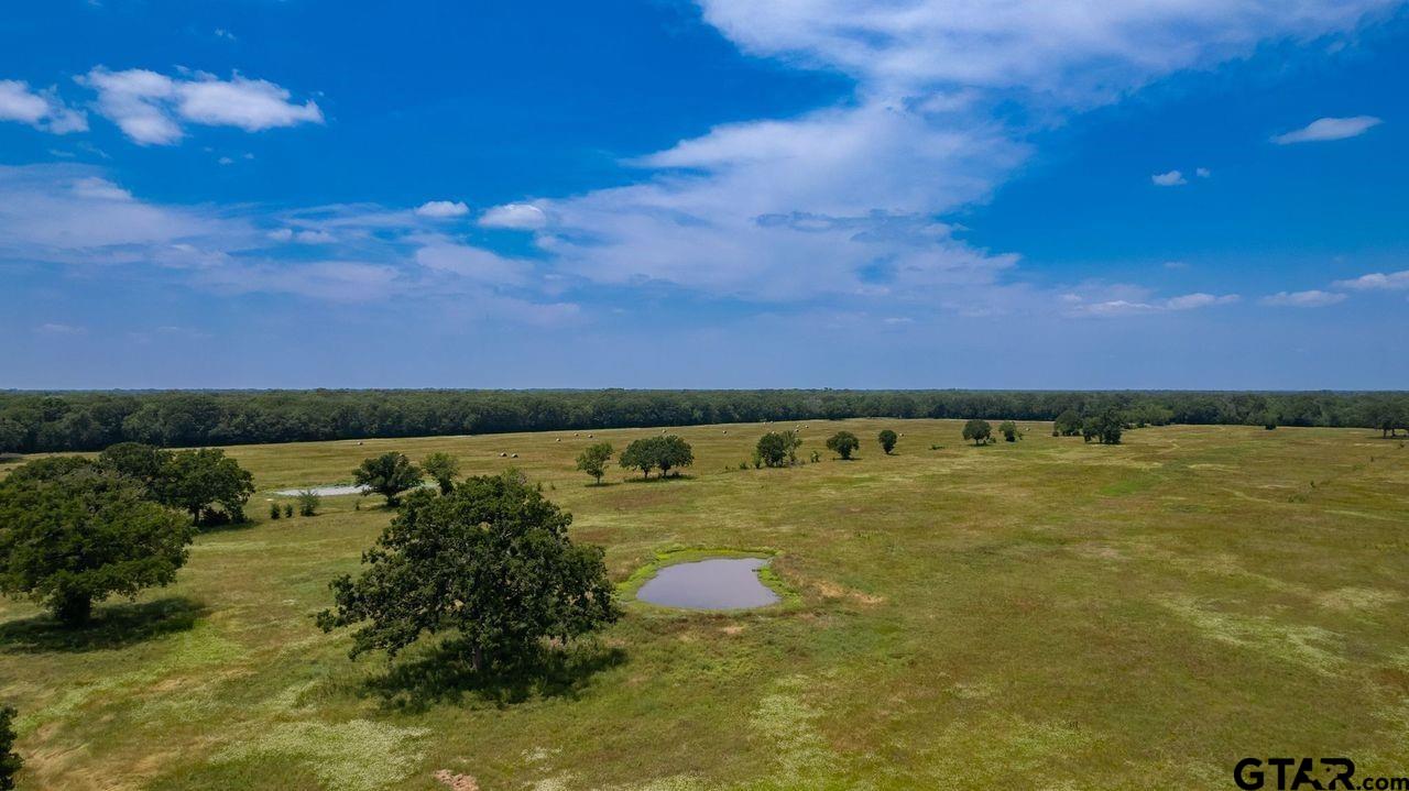 175 Acres County Road 1148