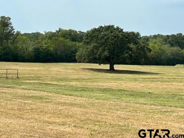 175 Acres County Road 1148