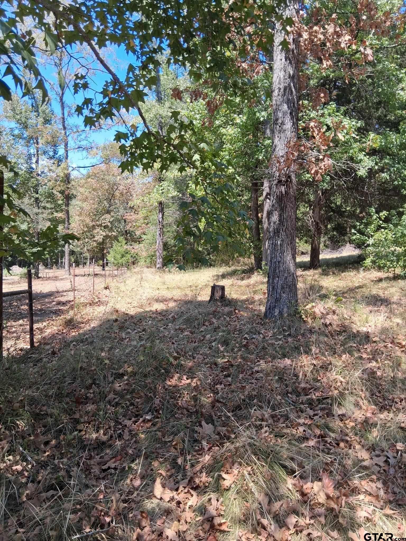 195 Hollow Oak Ln