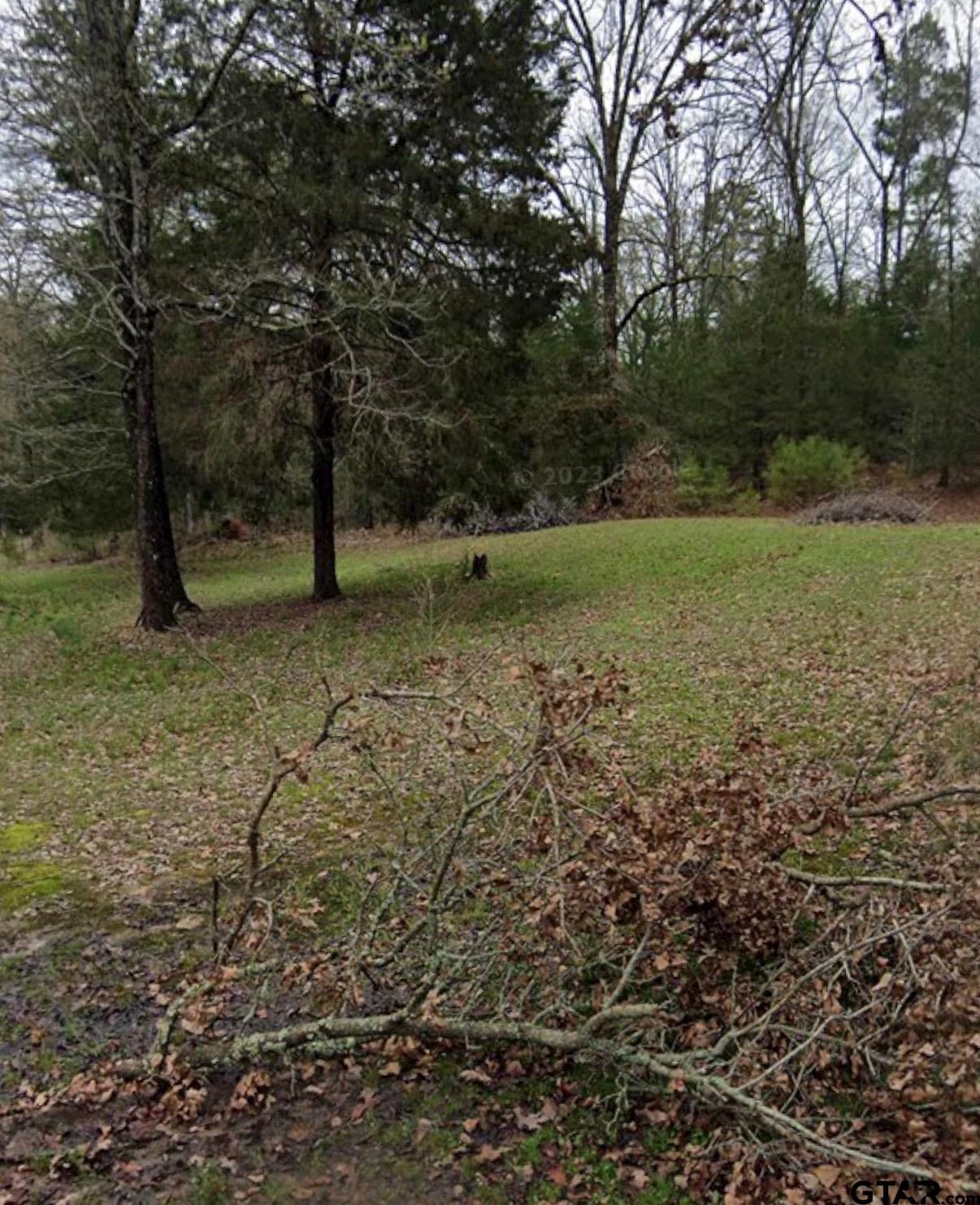 195 Hollow Oak Ln