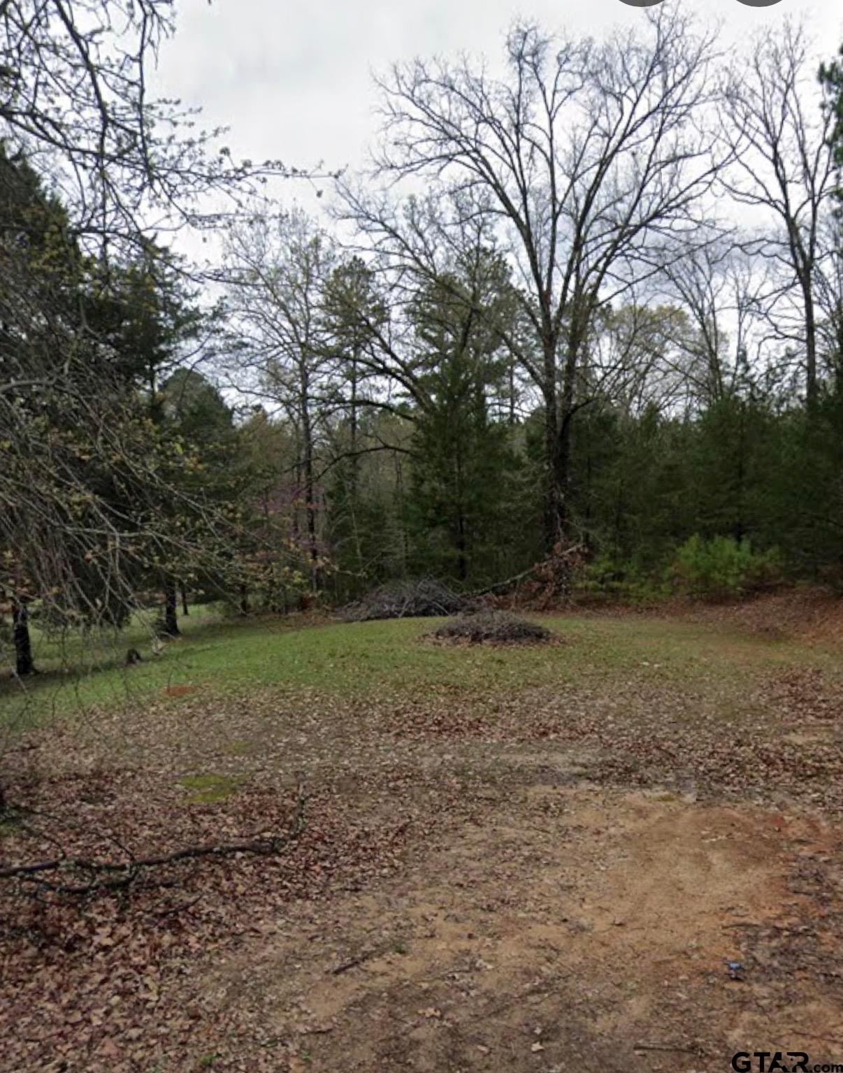 195 Hollow Oak Ln