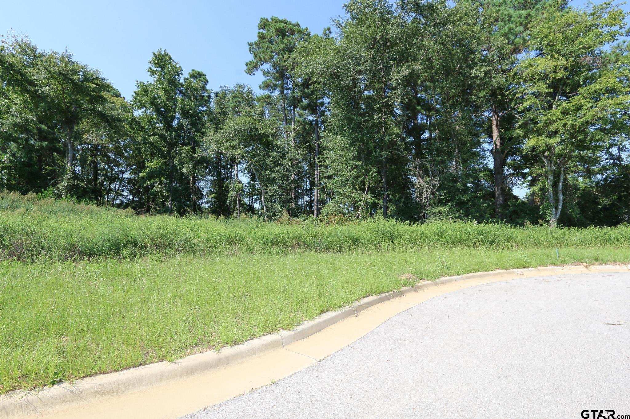 14220 Aliyah Court