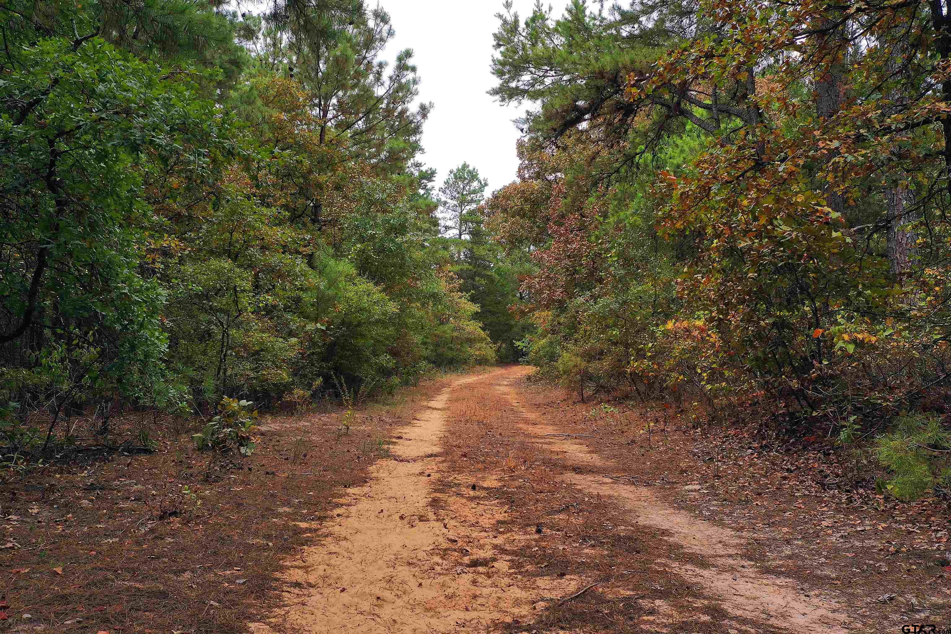 15160 County Road 1227