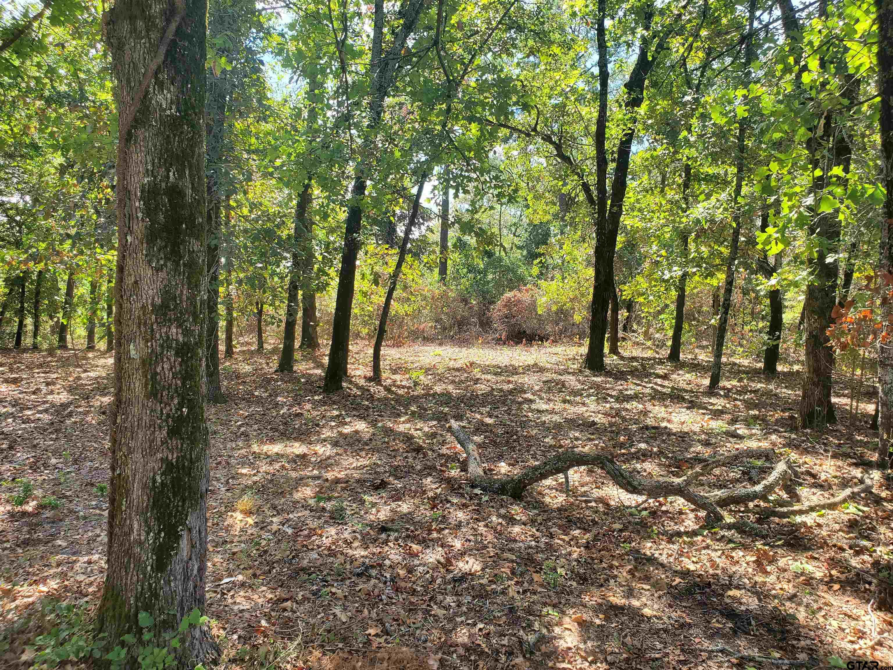 15160 County Road 1227