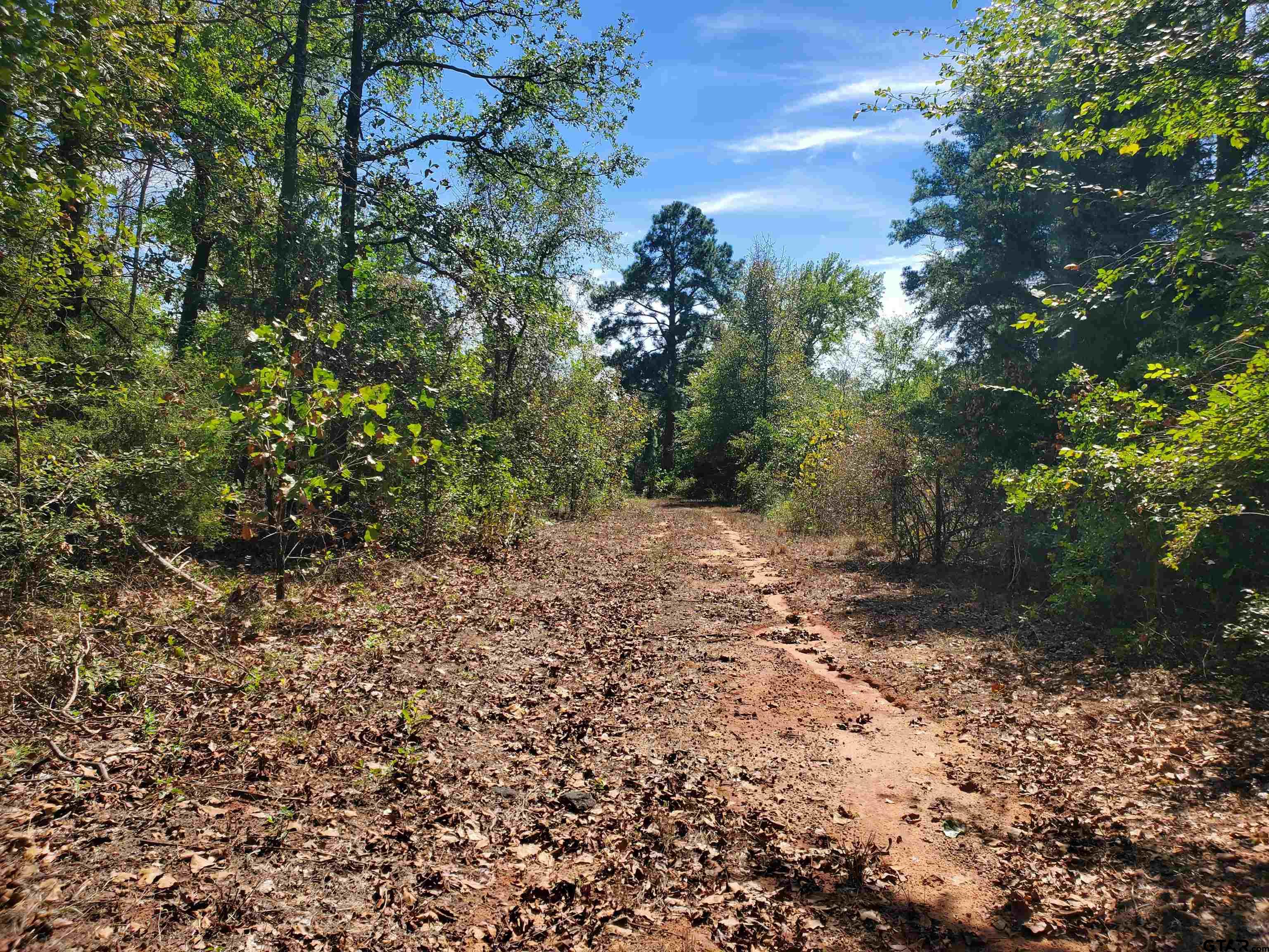 15160 County Road 1227