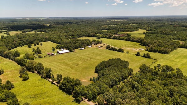 ADDRESS PRIVATE, BECKVILLE, TX 75631 - Image 3ba75eea2d24f8e3beb539b3853df1d6/764854066
