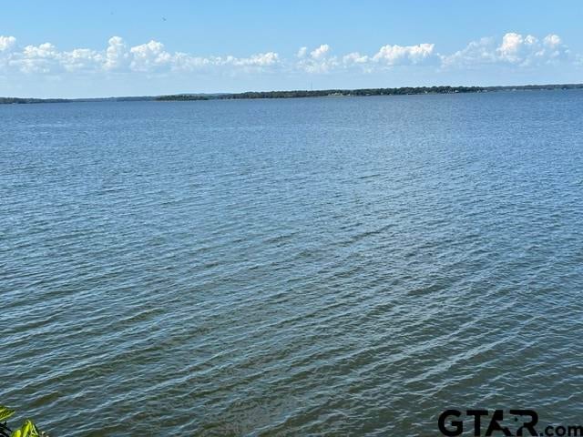 20878 Bay shore DR