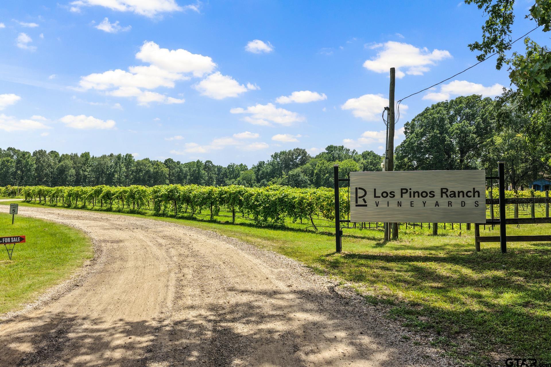 658 County Road 1334