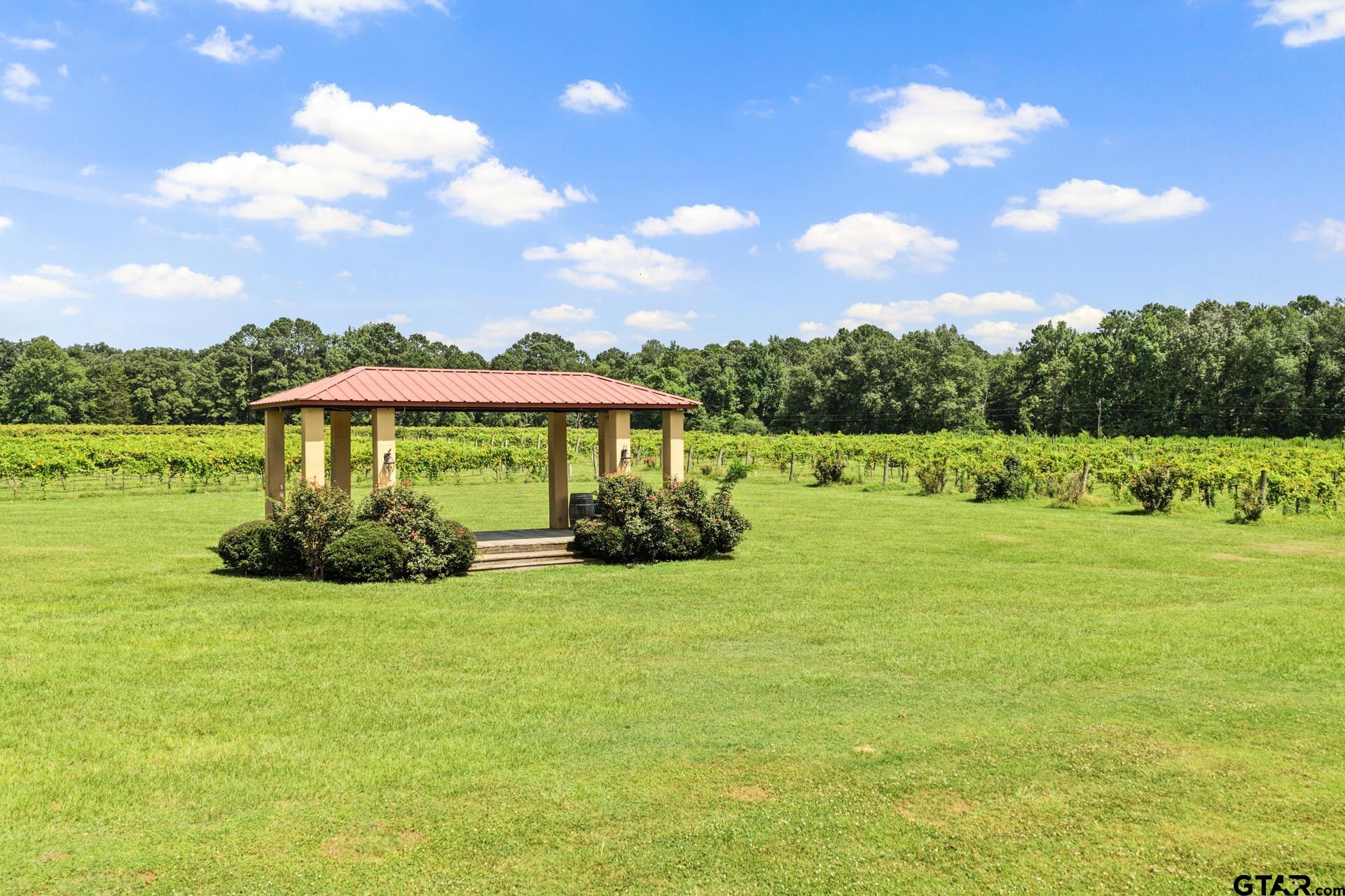 658 County Road 1334