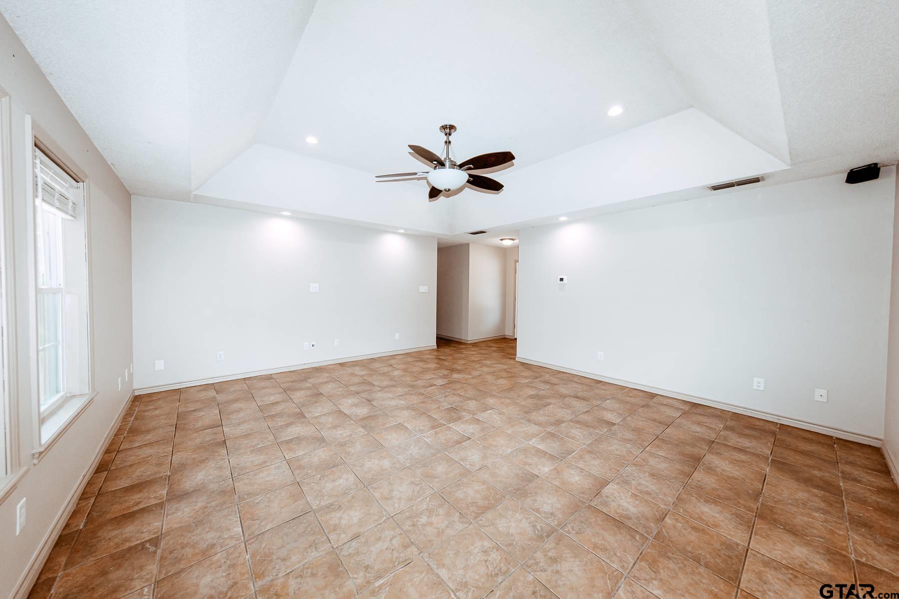10095 Pine Tree