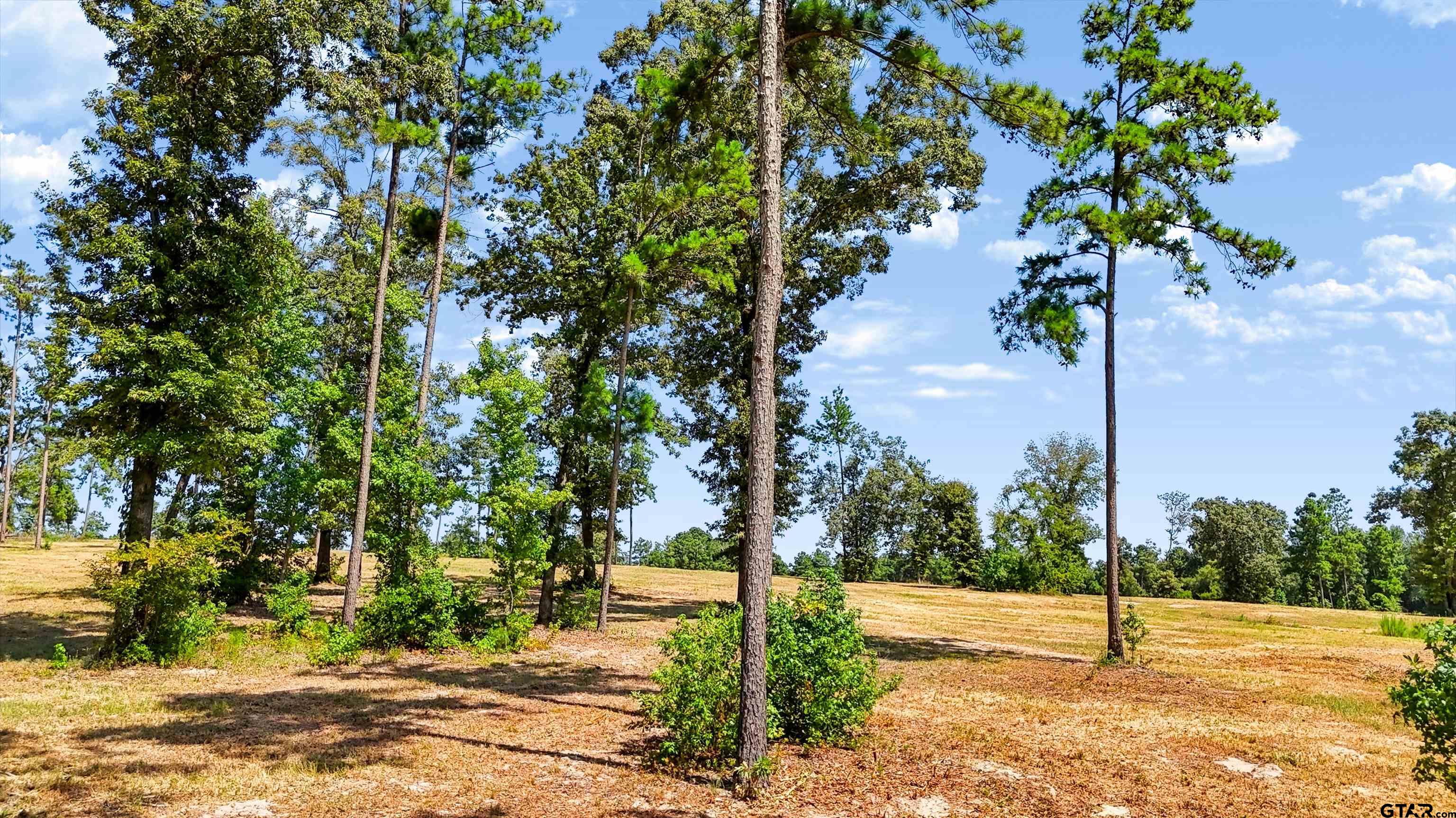 15538 Aniston Ln - (LOT 27)