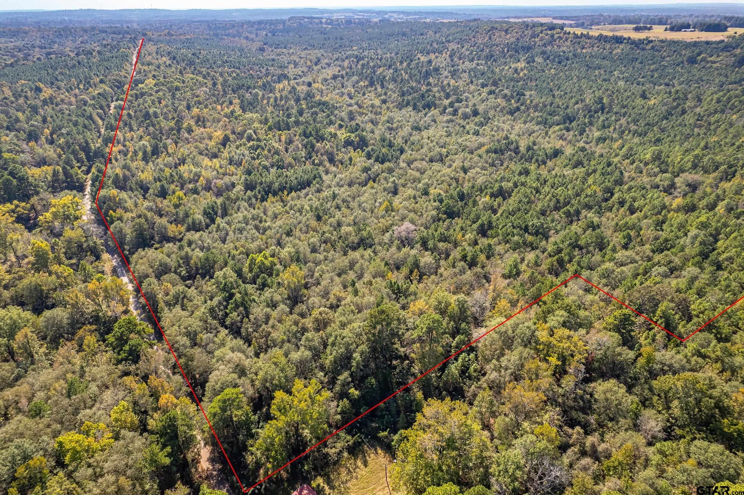 0000 County Rd 359