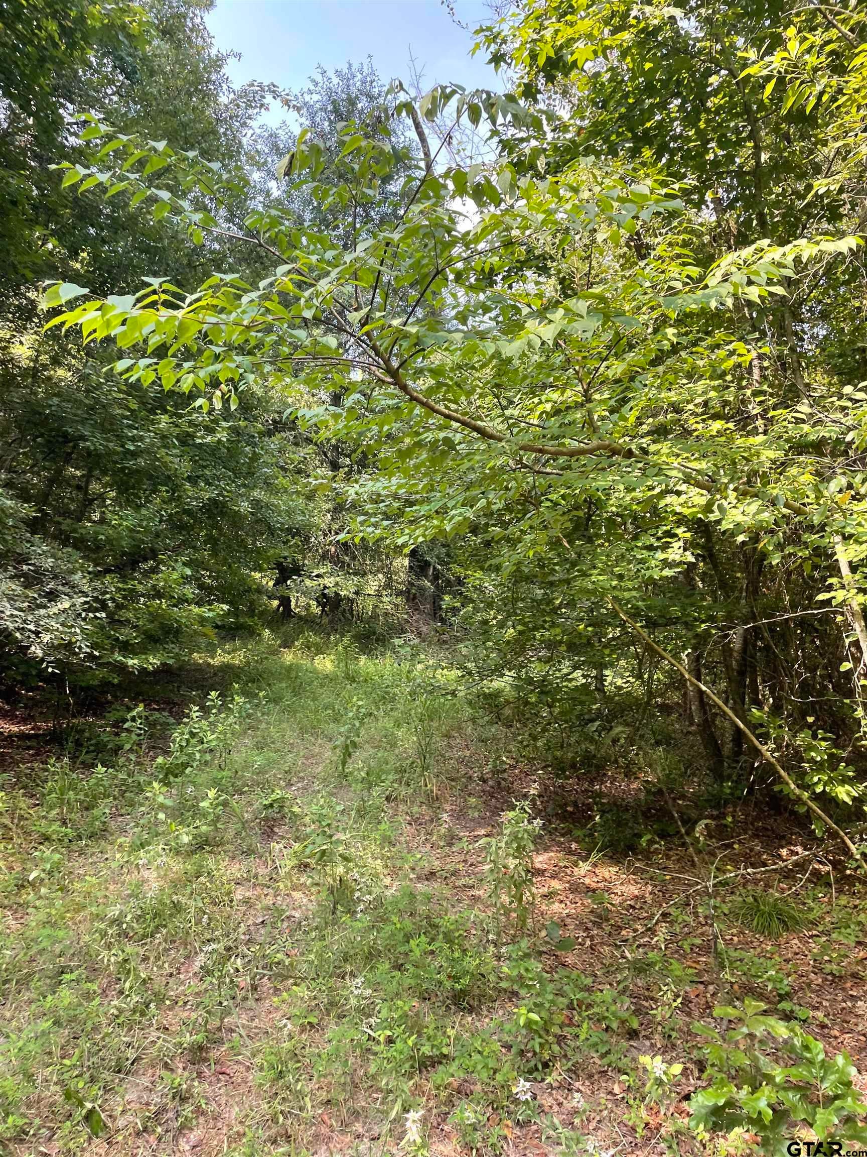 TBD County Road 4559