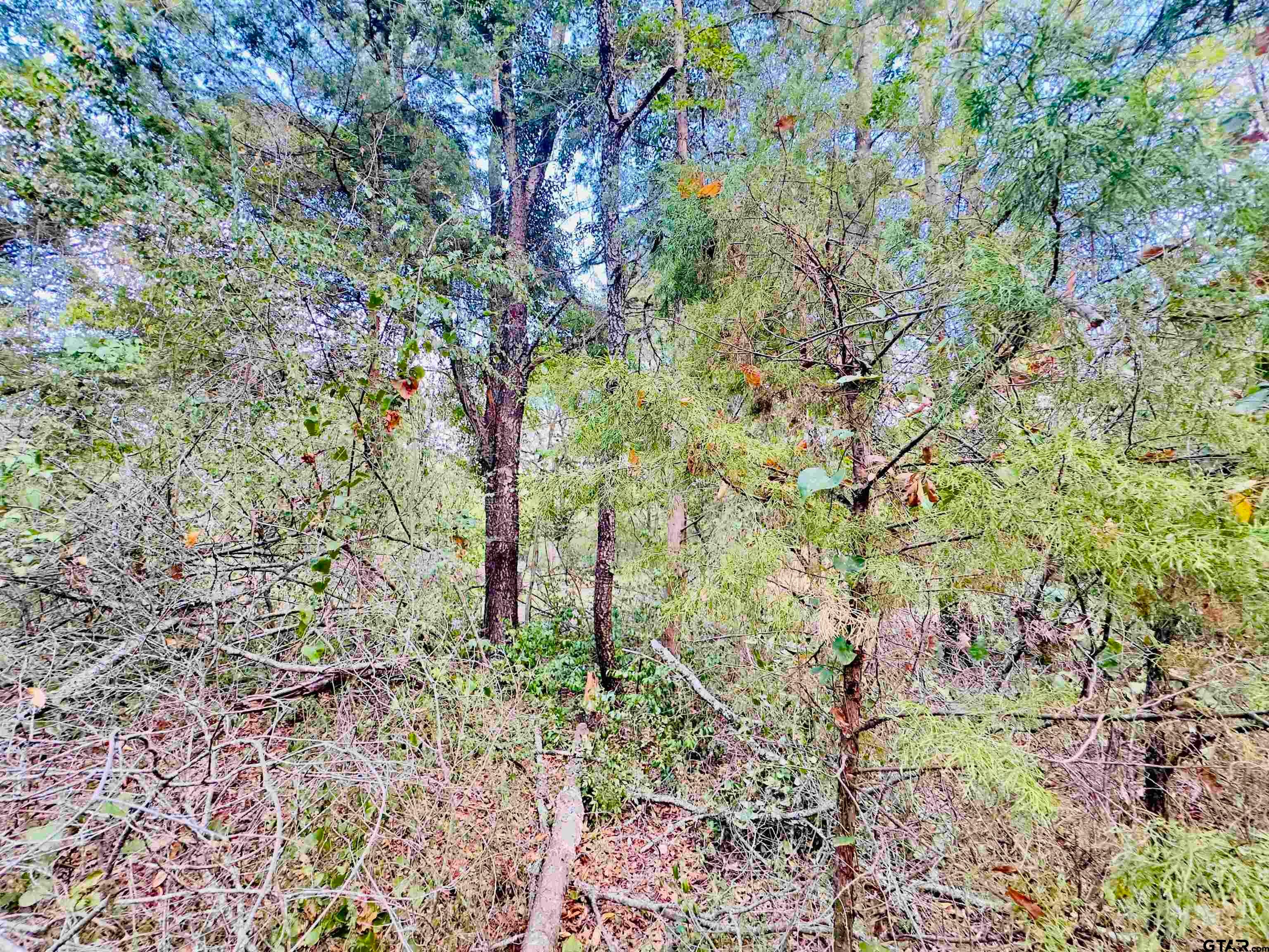 0000 Apple Tree Rd