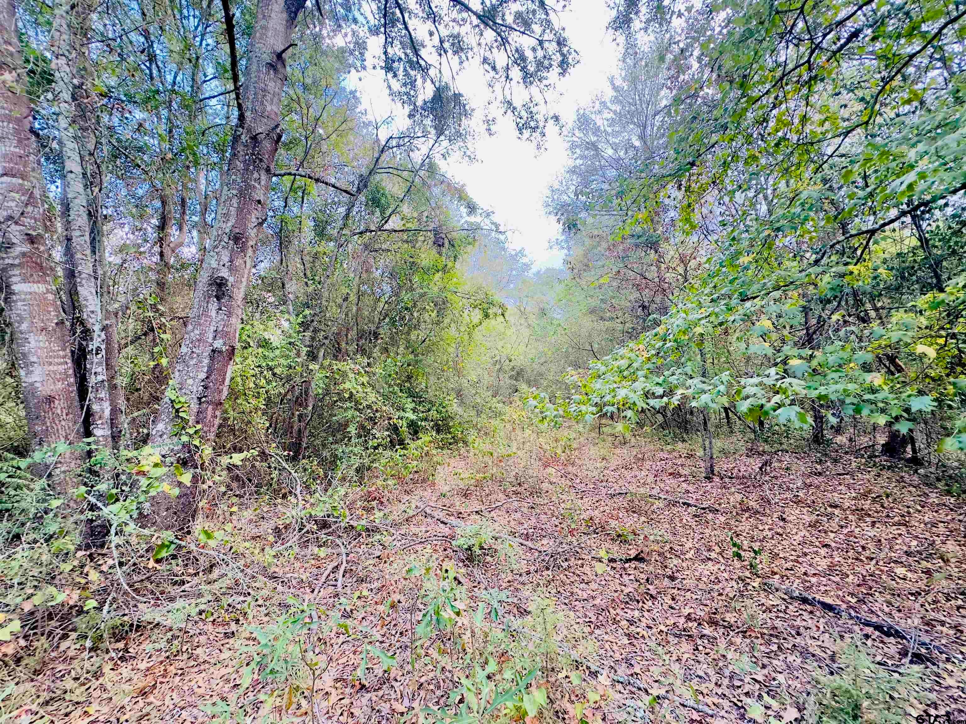 0000 Apple Tree Rd