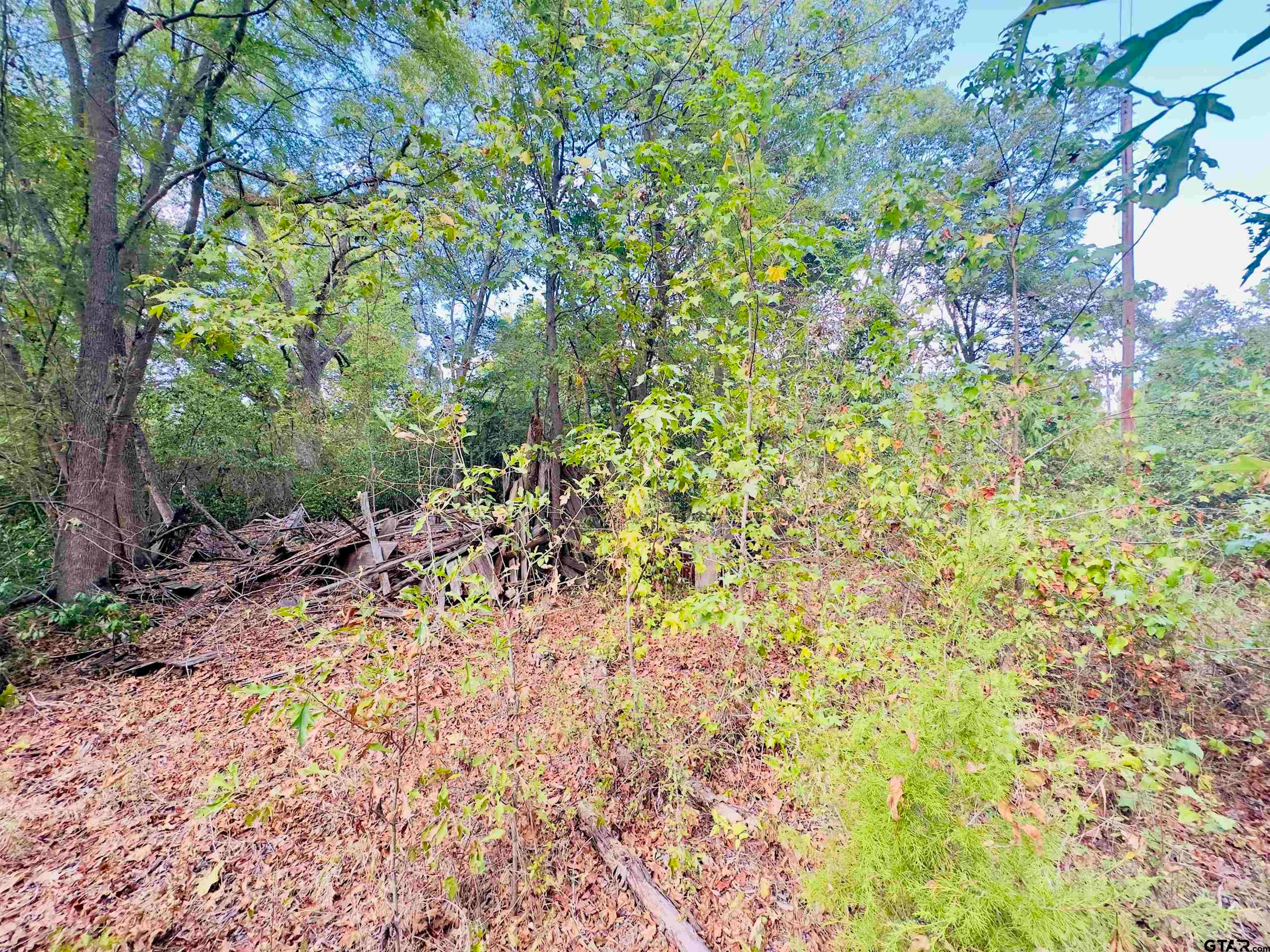 0000 Apple Tree Rd