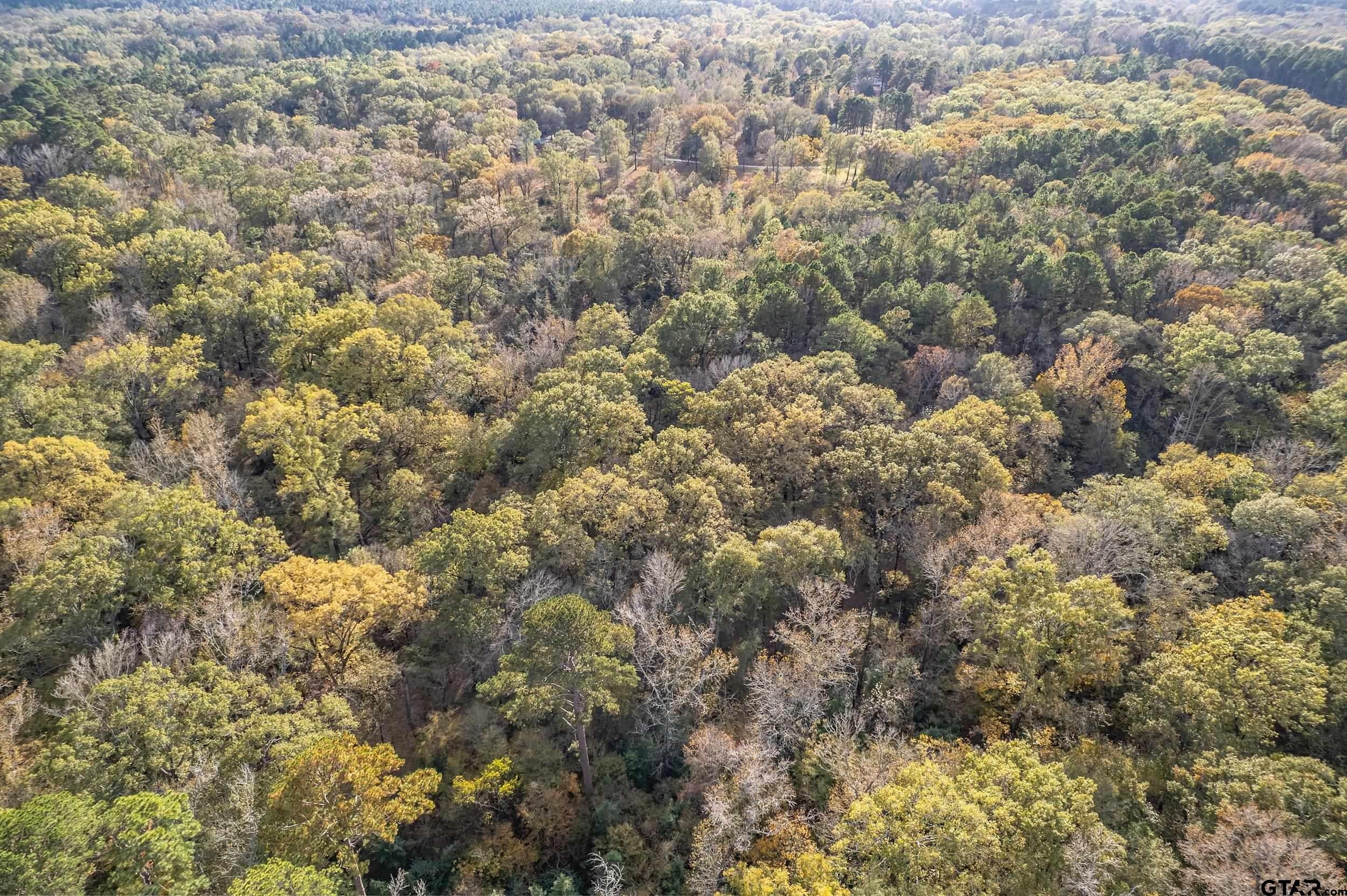 20304 N HWY 155