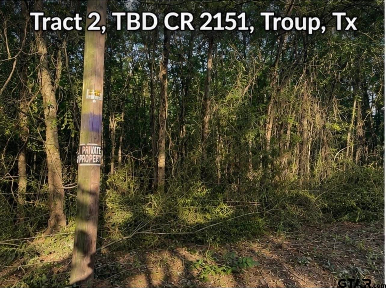 TBD County Road 2151 (Tract 2)