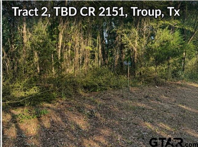 TBD County Road 2151 (Tract 2)