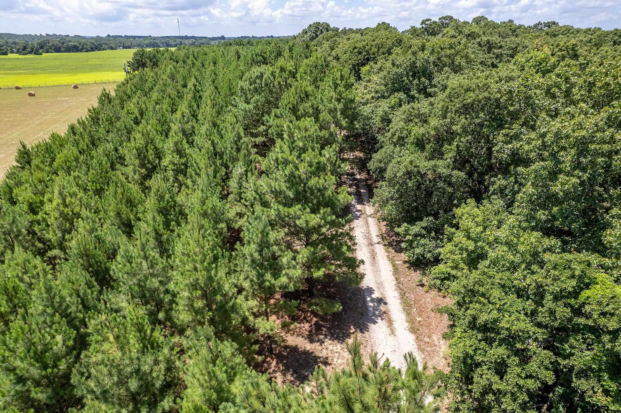 25325 County Road 462