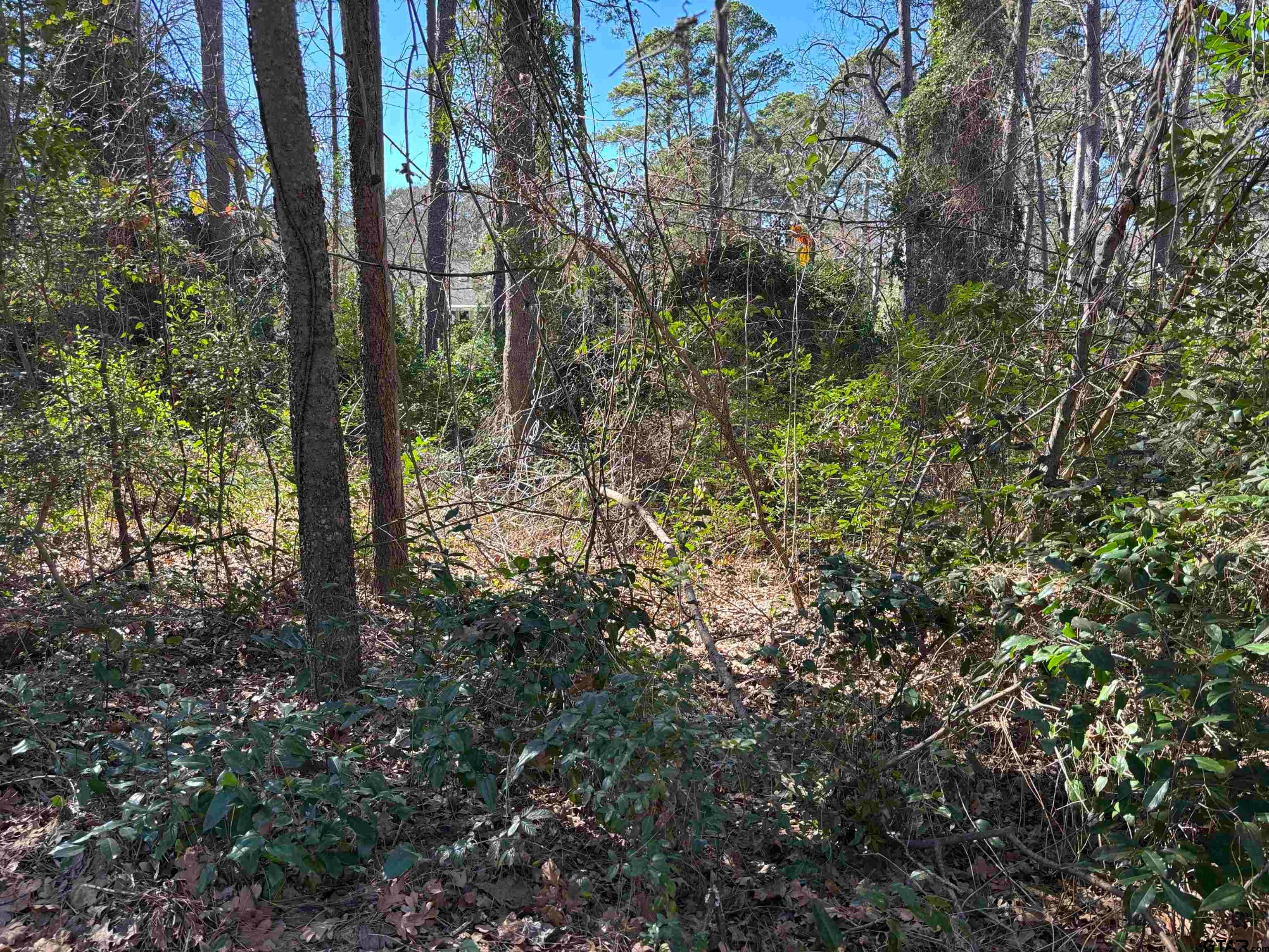 lot 17 Greenwood Trl