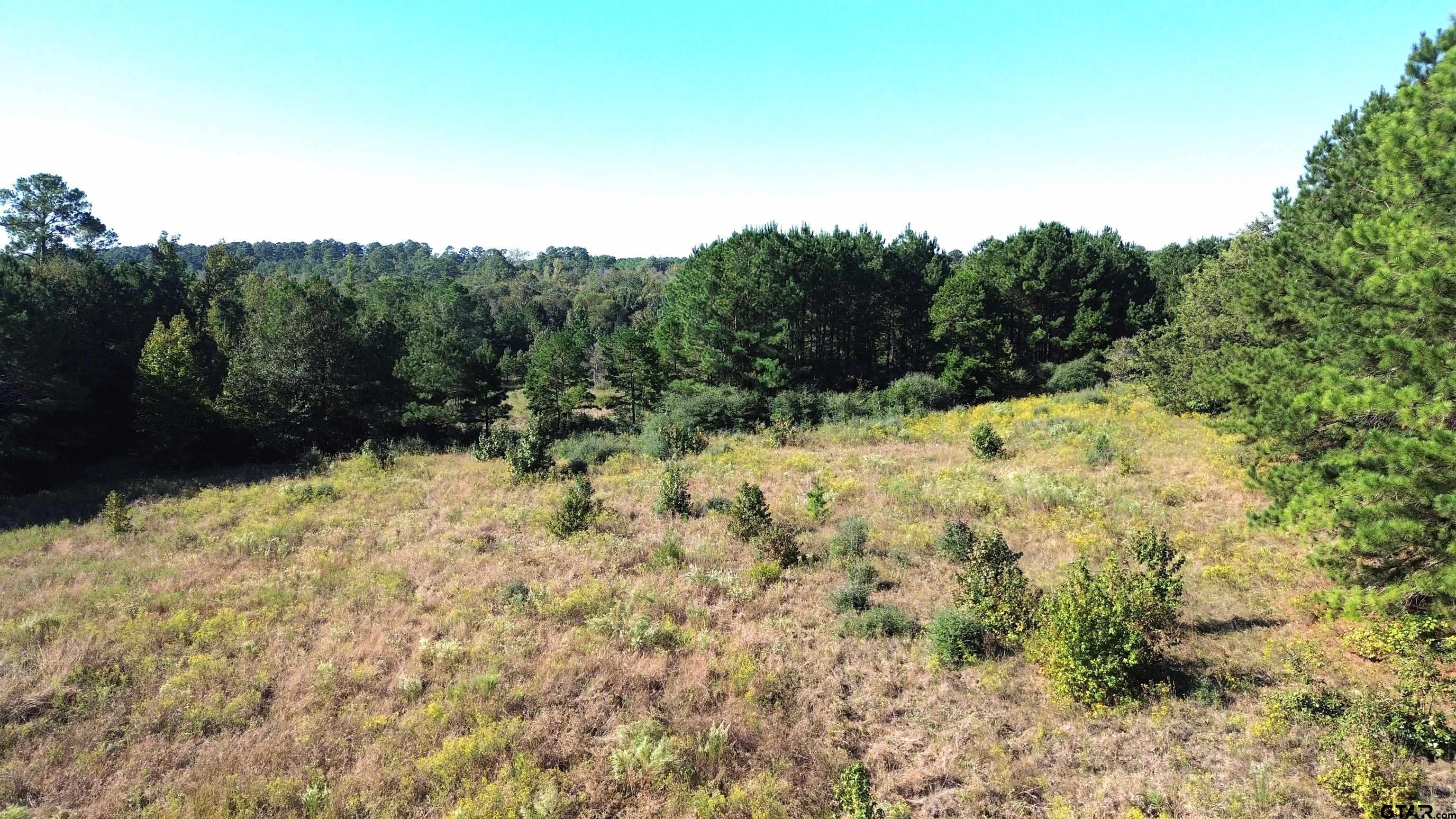 Tract 20 Vineyard View Trail