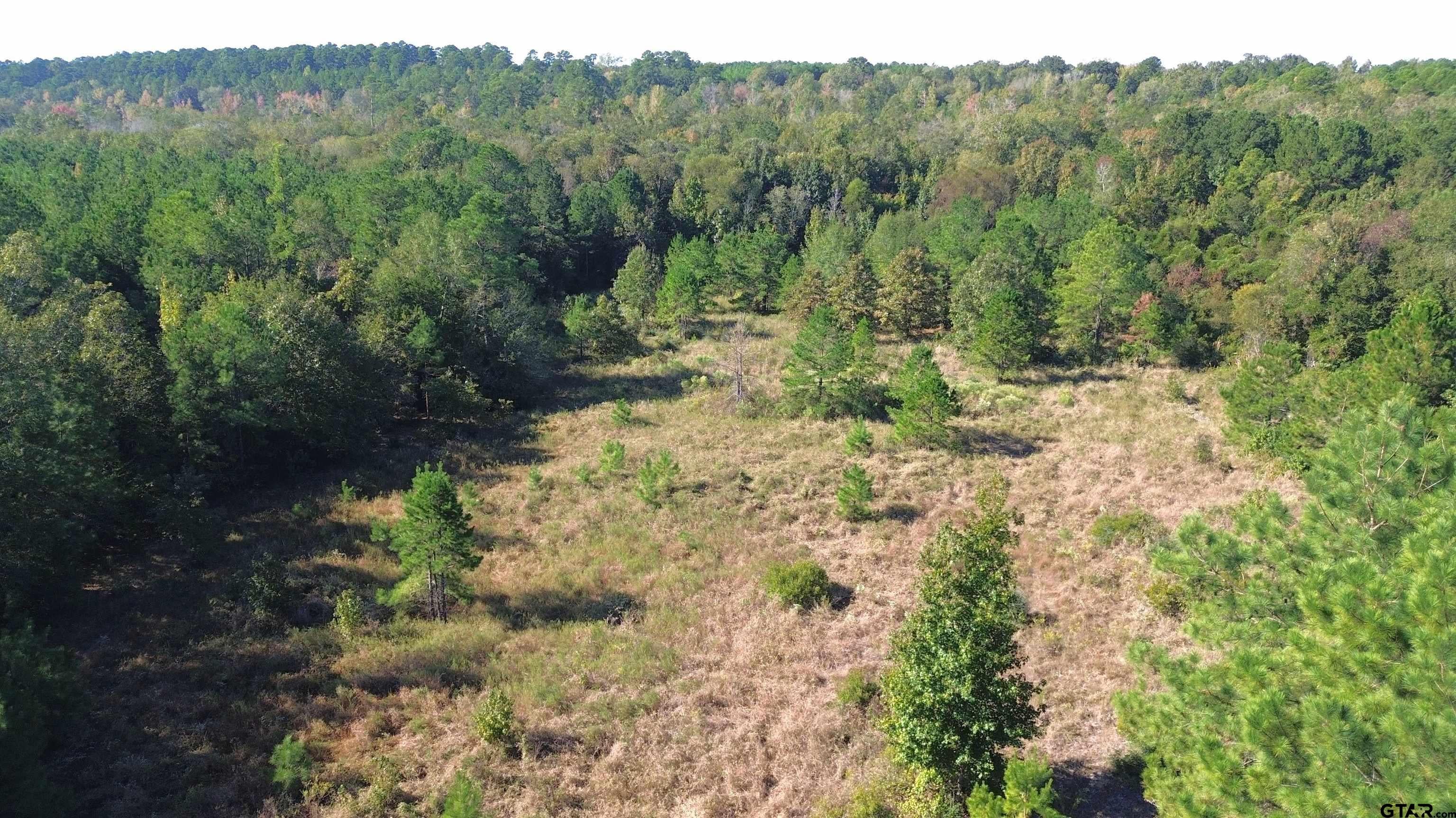 Tract 20 Vineyard View Trail