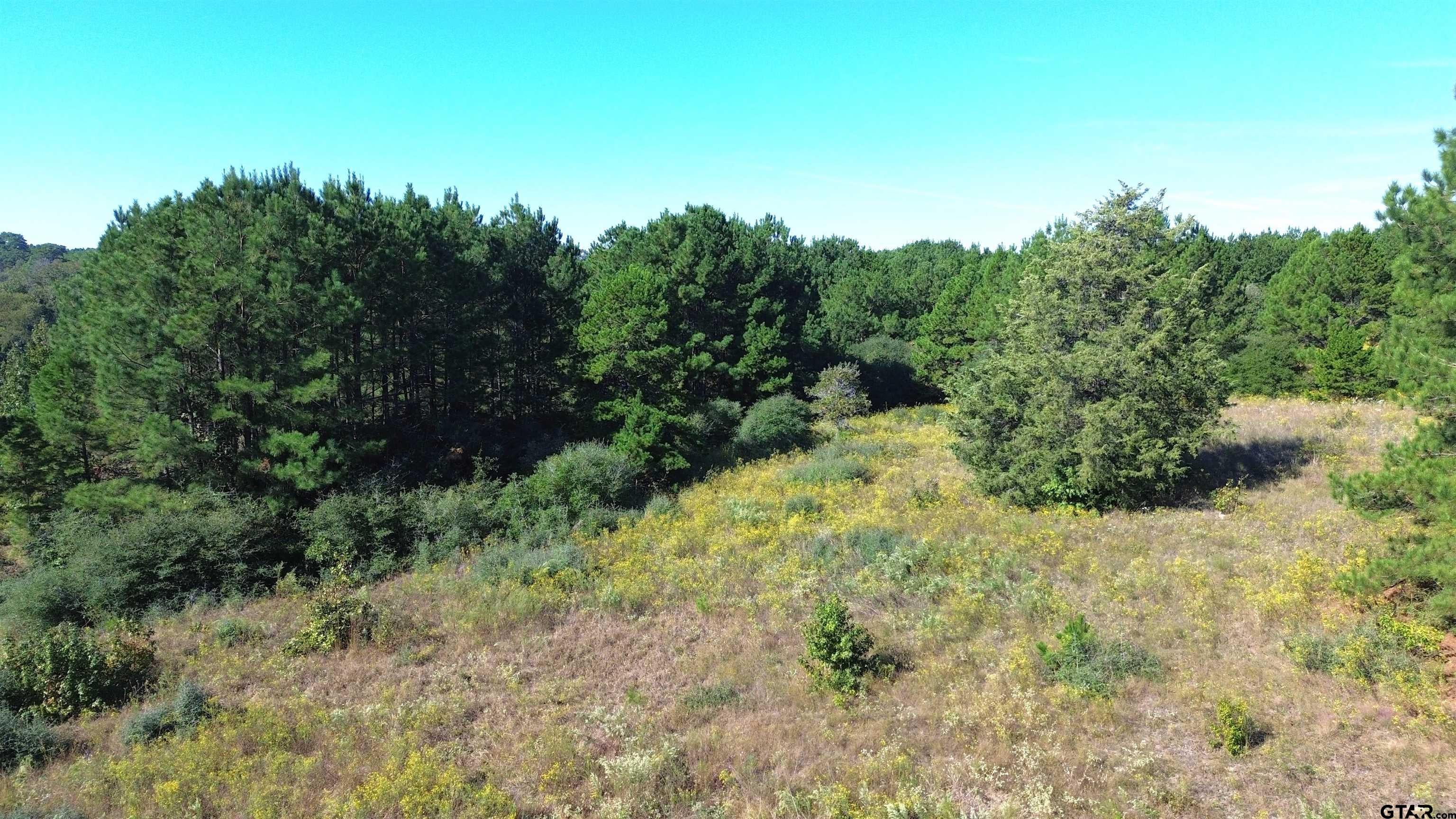 Tract 20 Vineyard View Trail