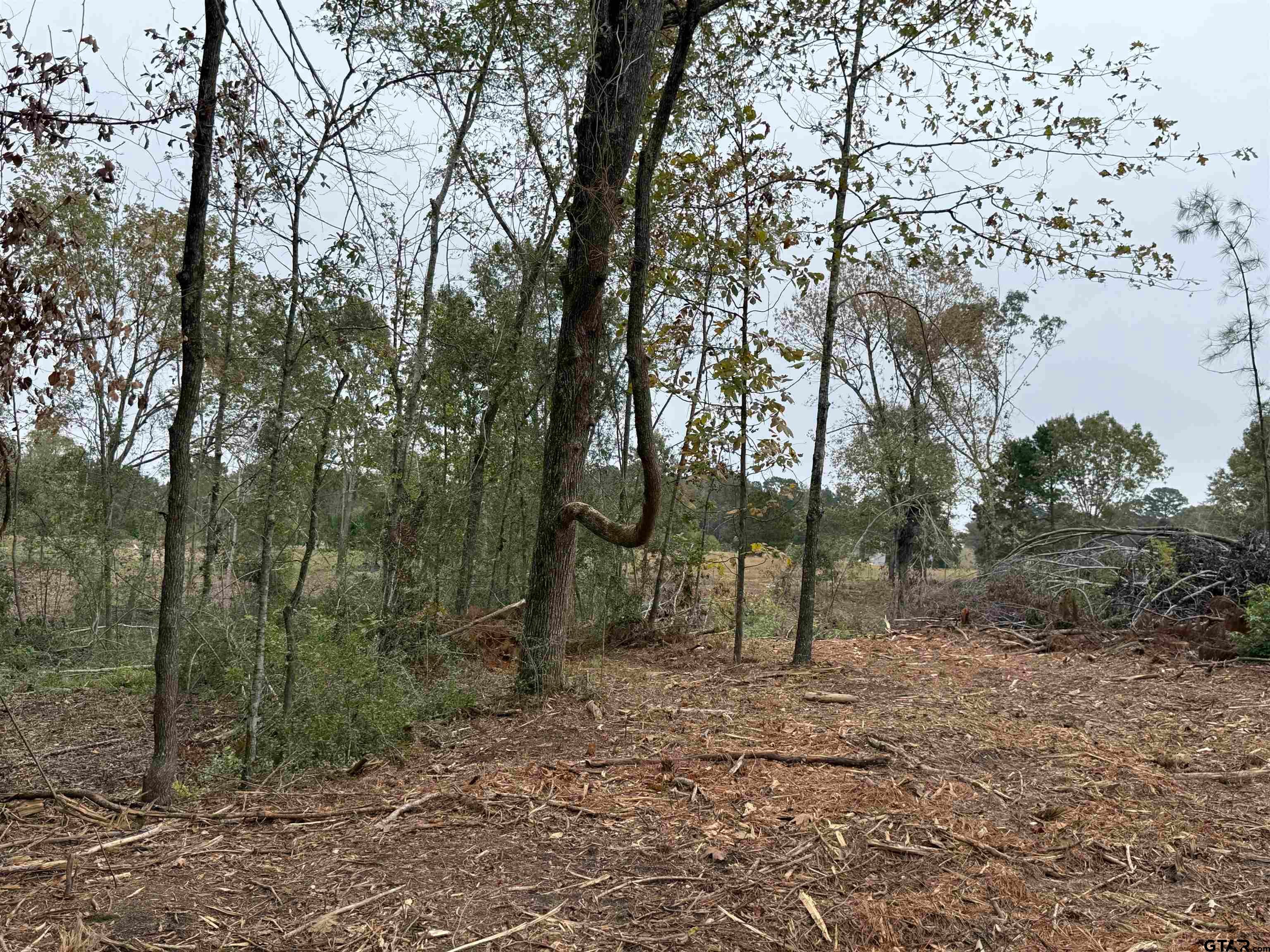 TBD CR 314 -  15  acres