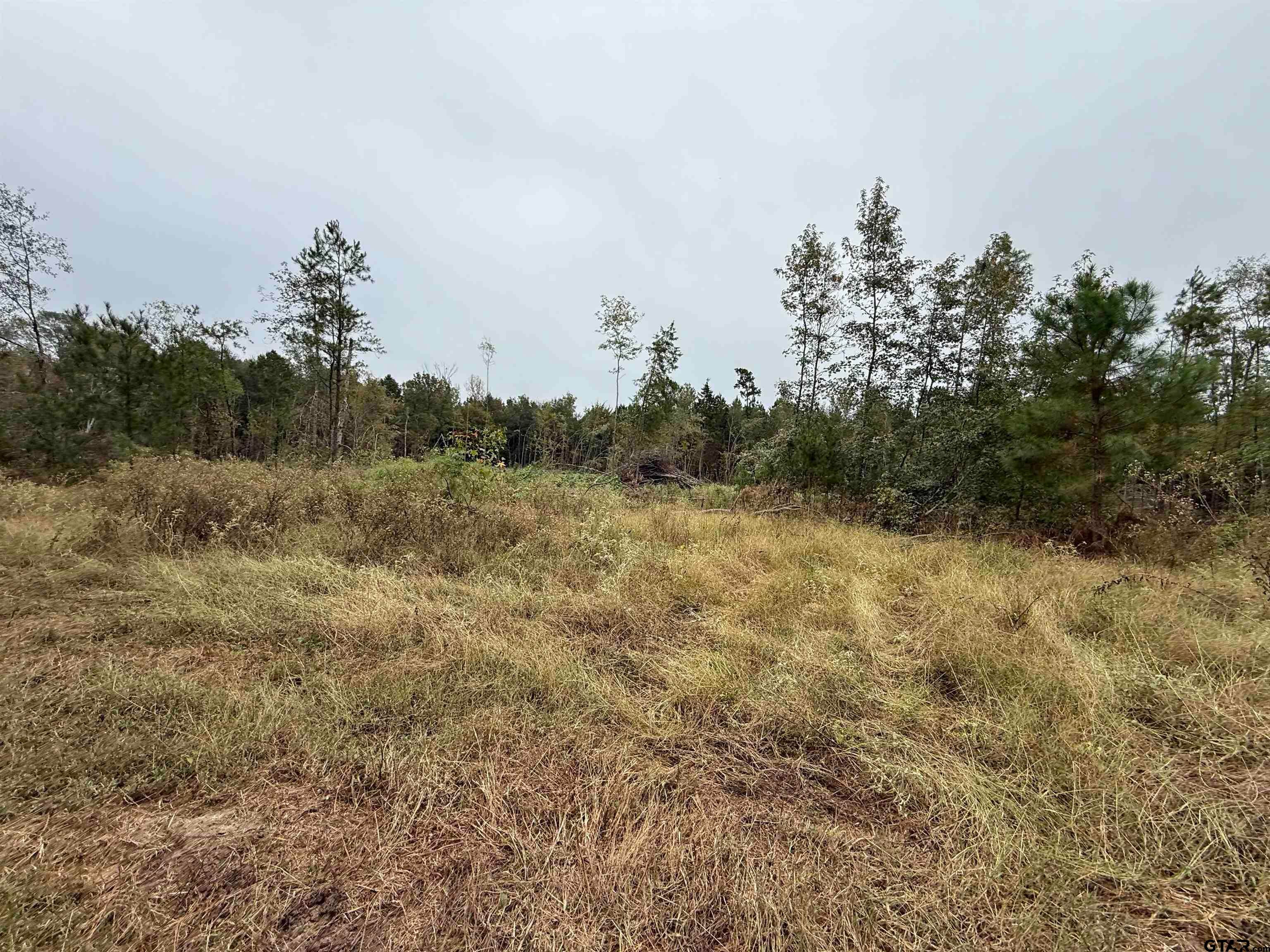 TBD CR 314 -  15  acres