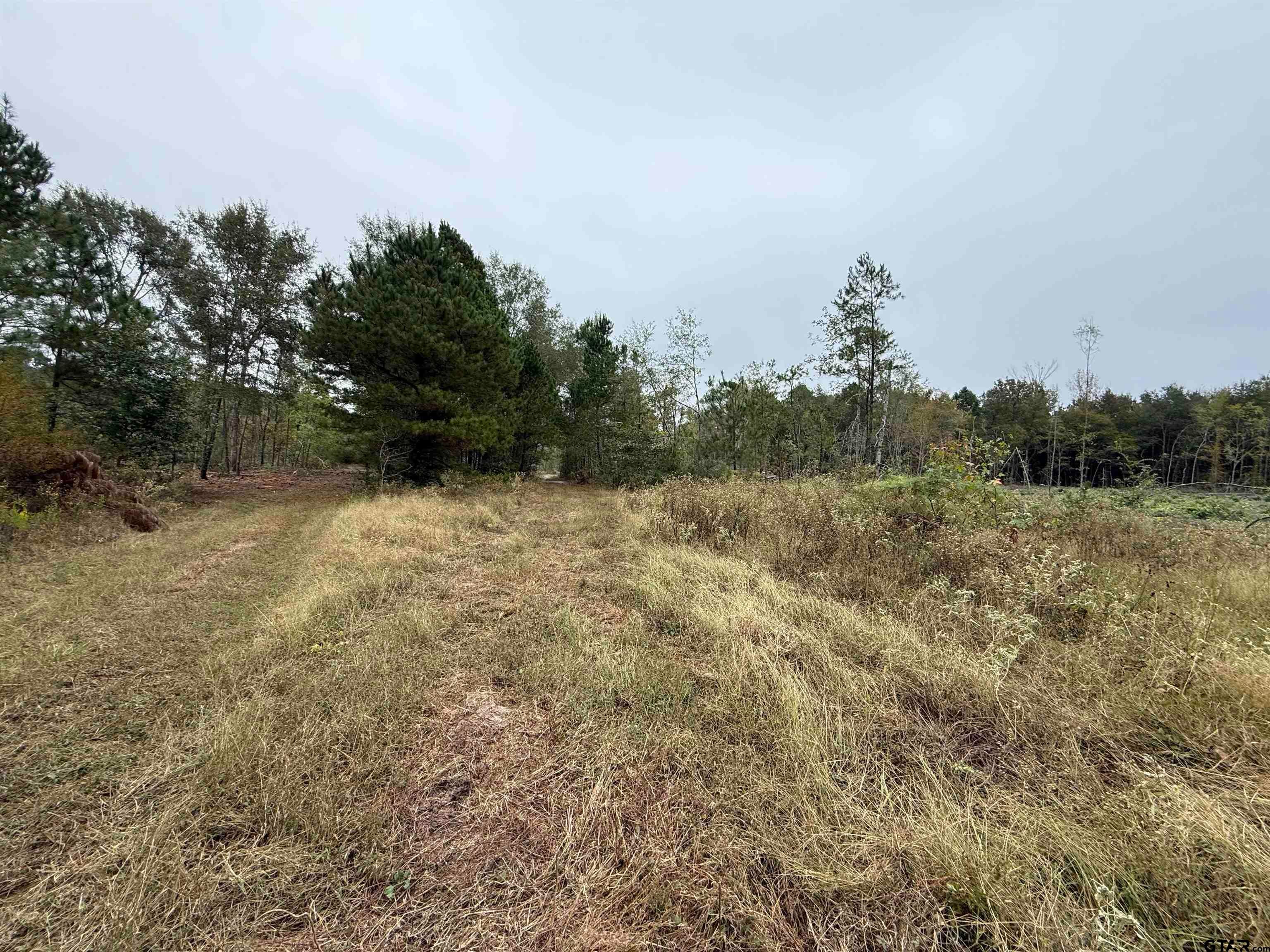 TBD CR 314 -  15  acres