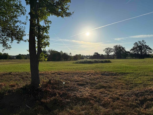 152 COUNTY RD 3204, QUITMAN, TX 75783 - Image 51141df2bb174f97f08913c11aa09bd8/332855407