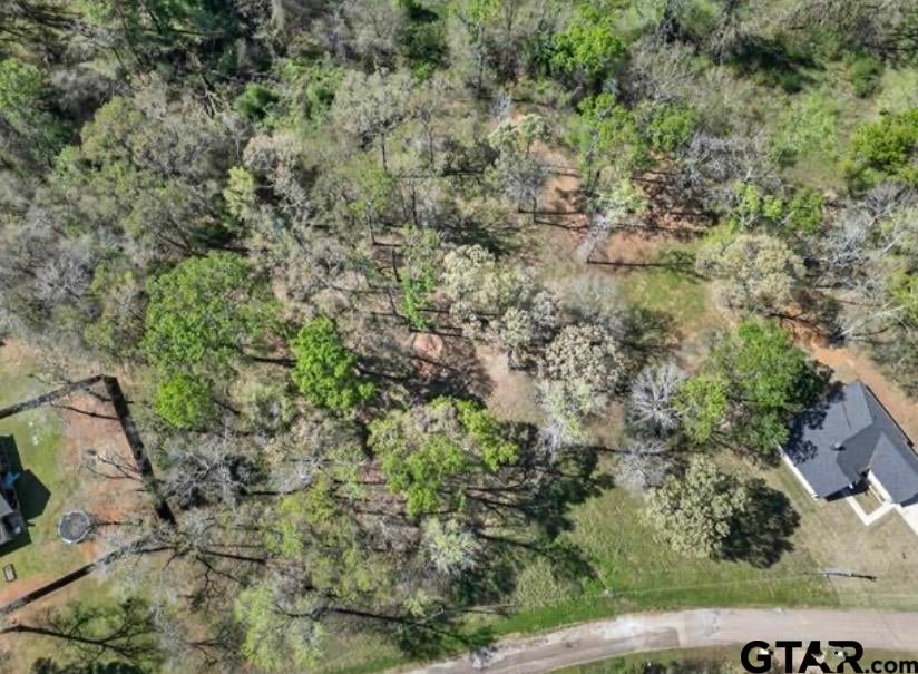 437 County Road 3608